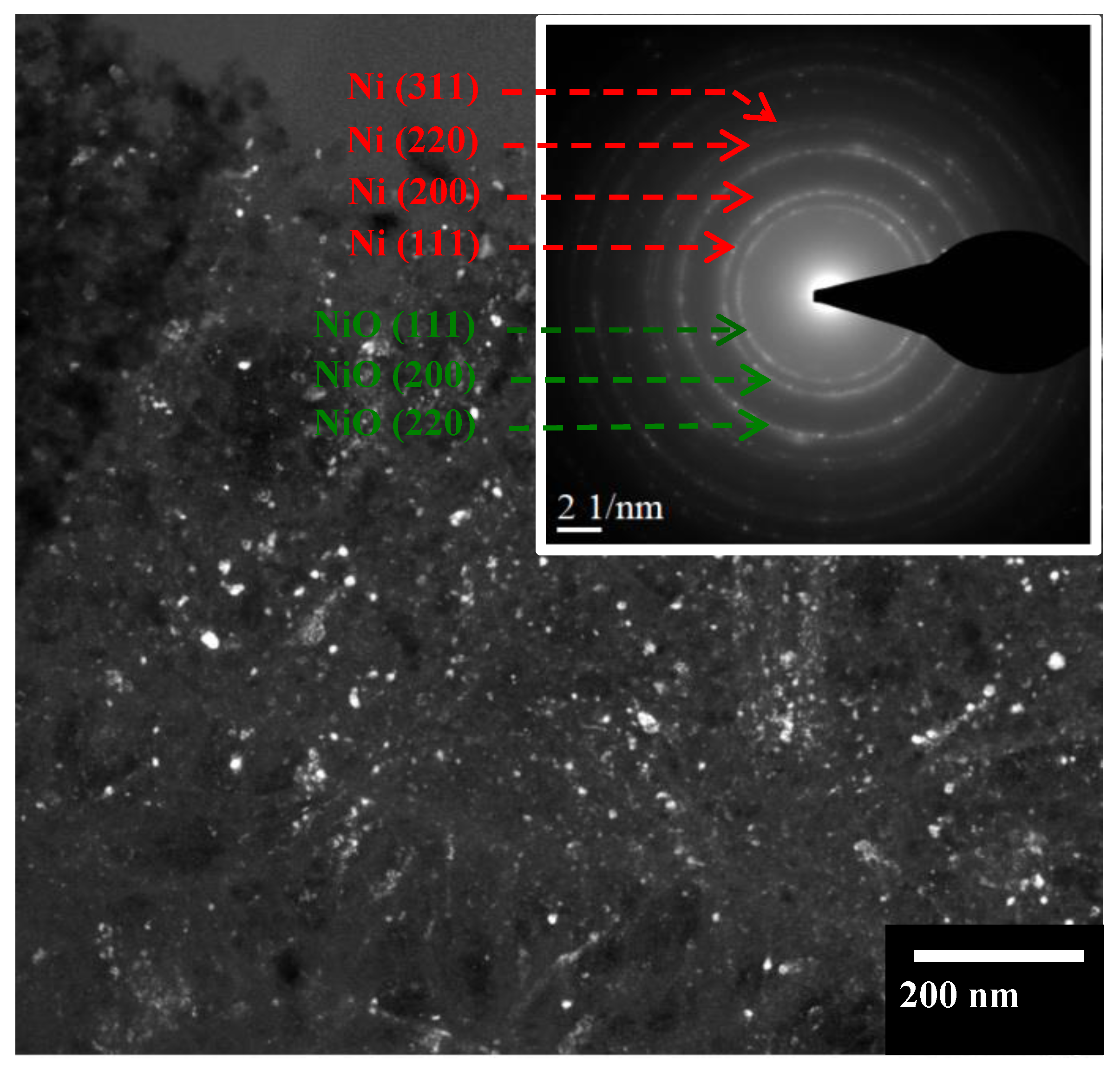 Catalysts 12 00520 g008 550
