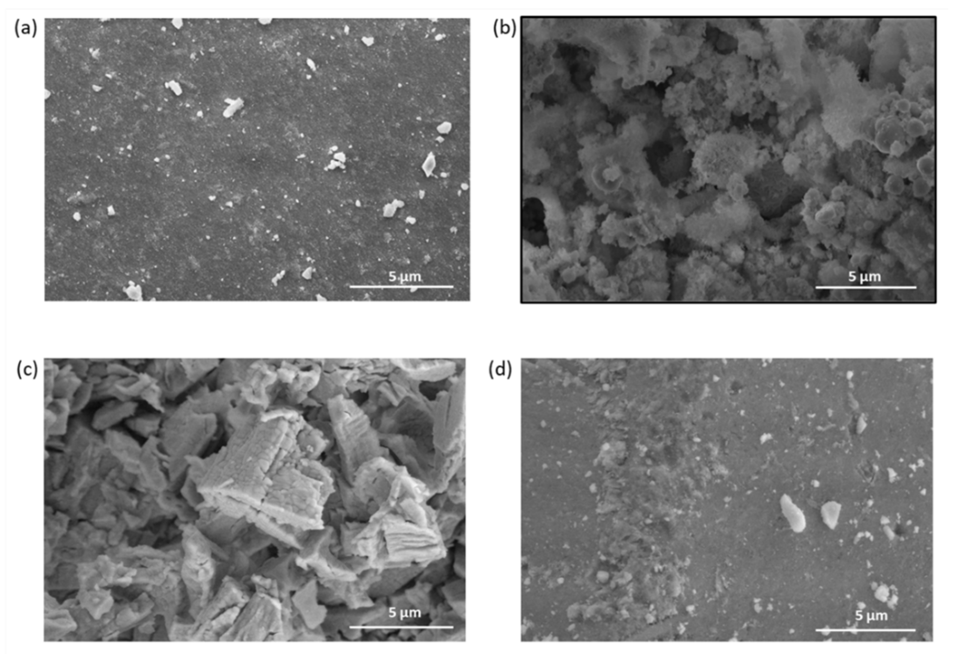 Catalysts 12 00524 g001 550