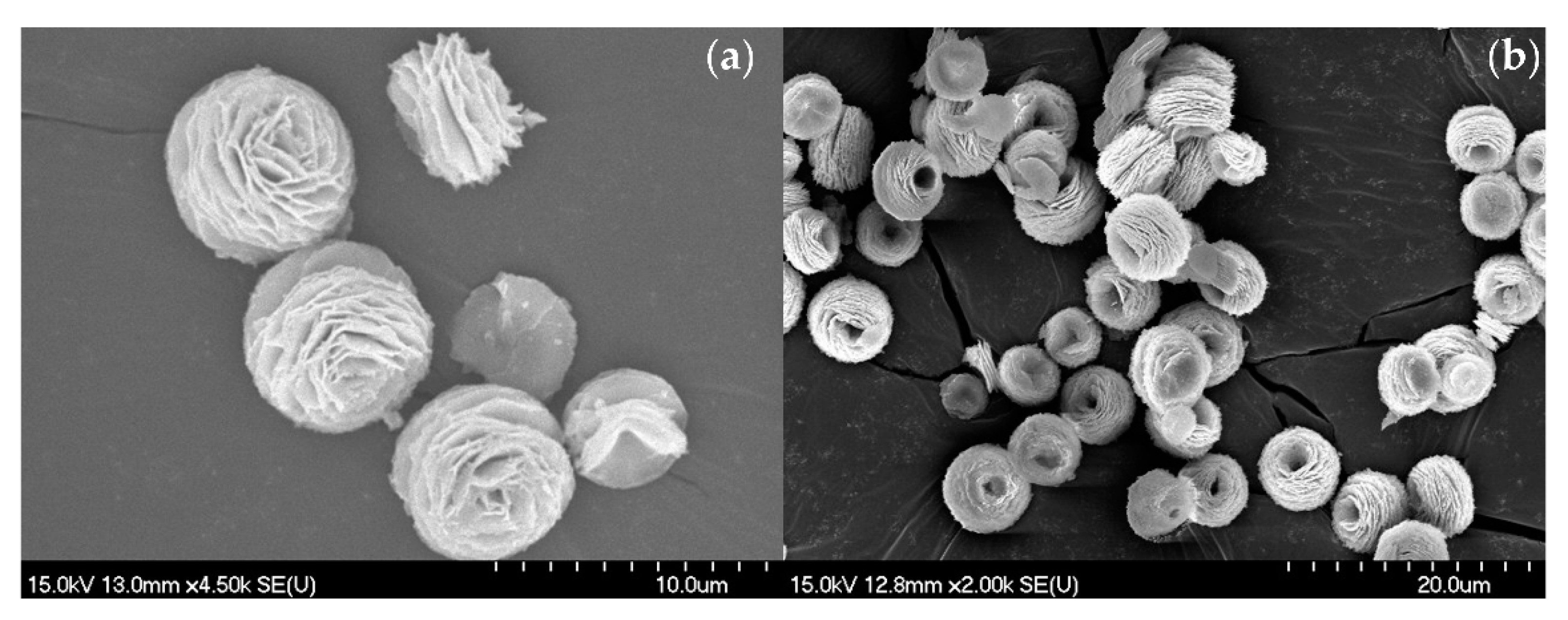 Catalysts 12 00527 g003 550