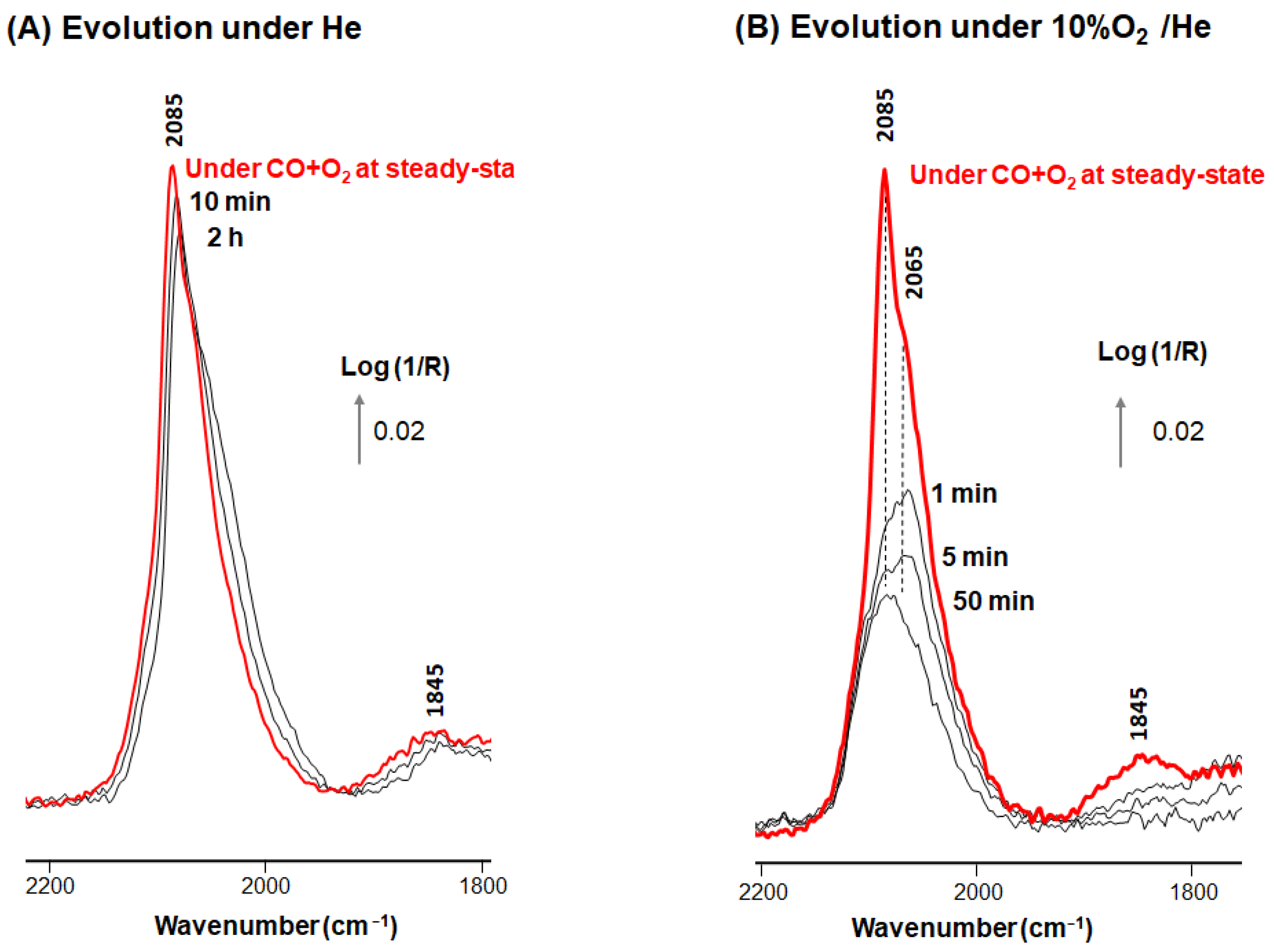 Catalysts 12 00532 g004