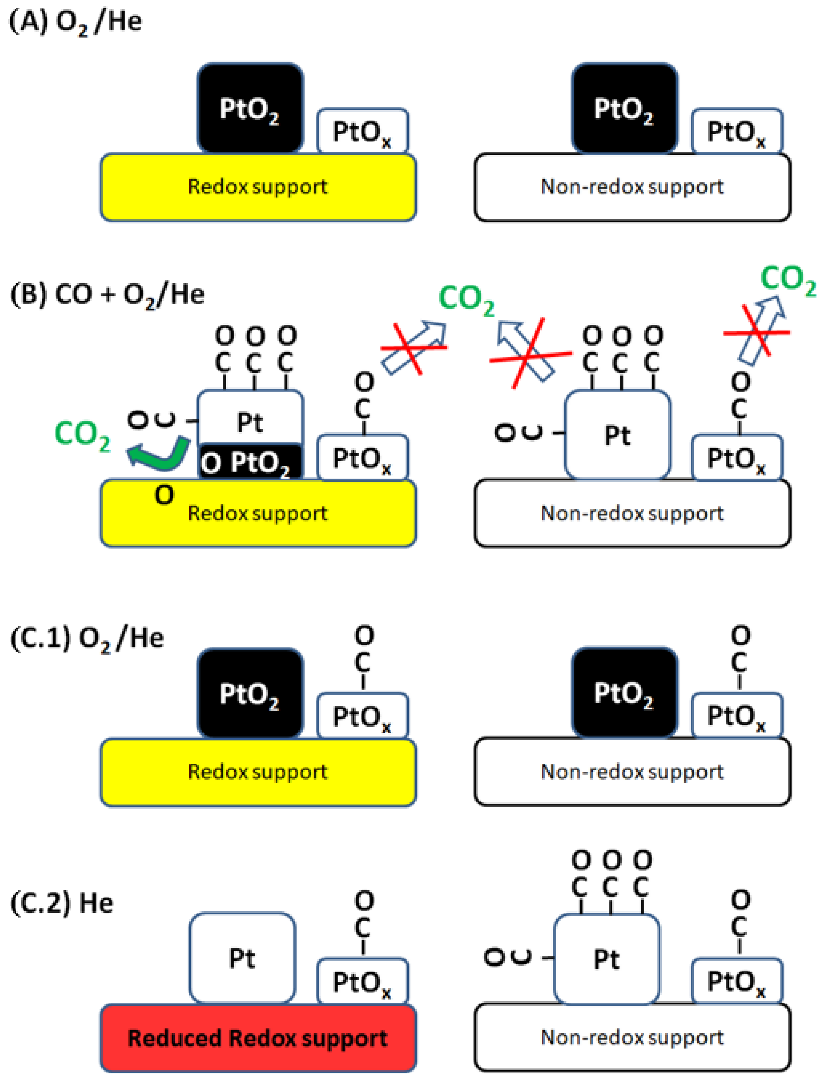 Catalysts 12 00532 g008