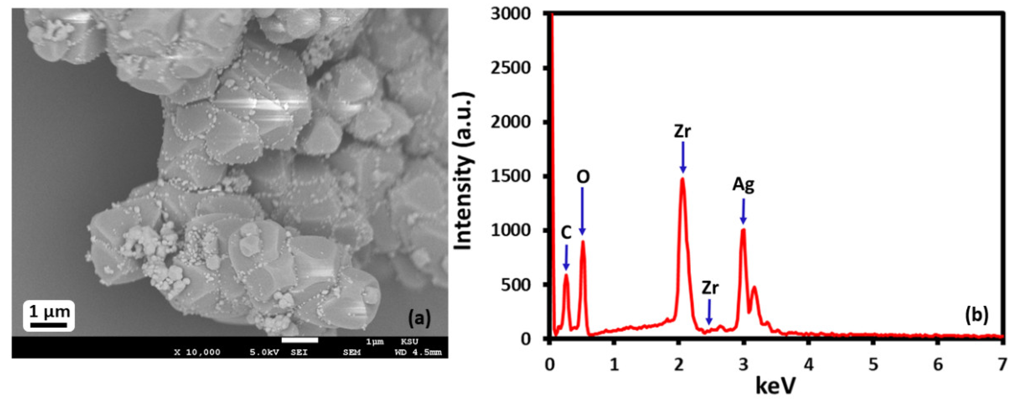 Catalysts 12 00533 g002