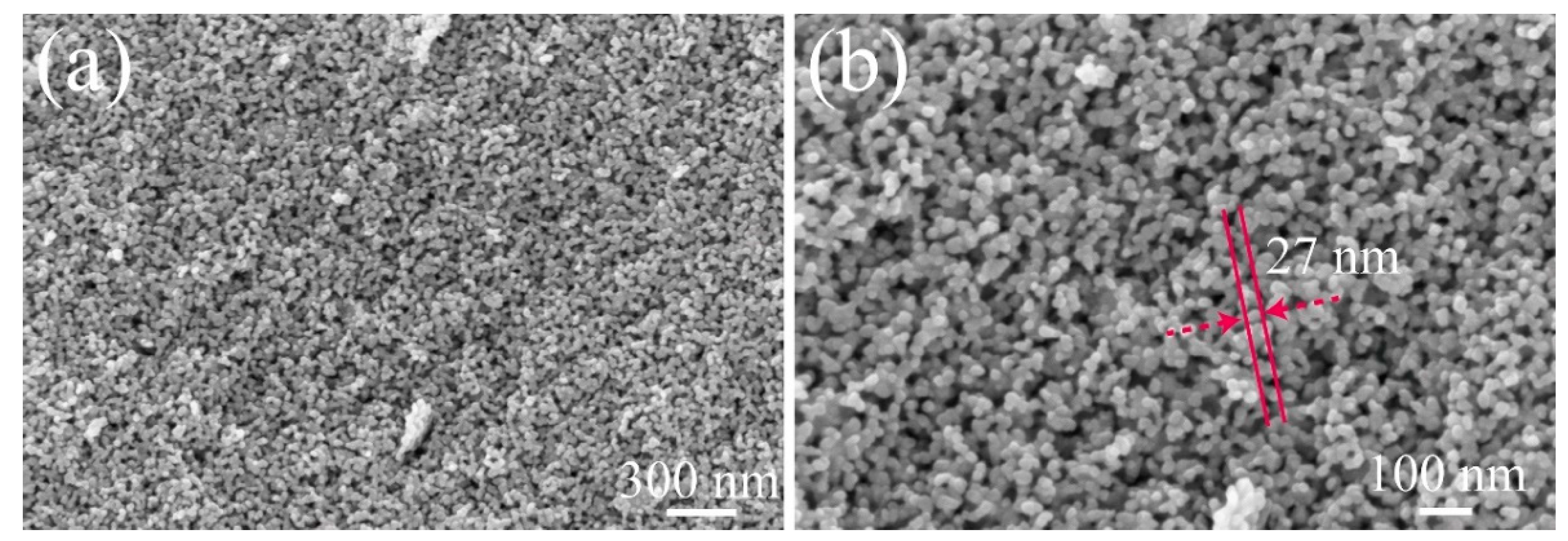 Catalysts 12 00535 g003 550