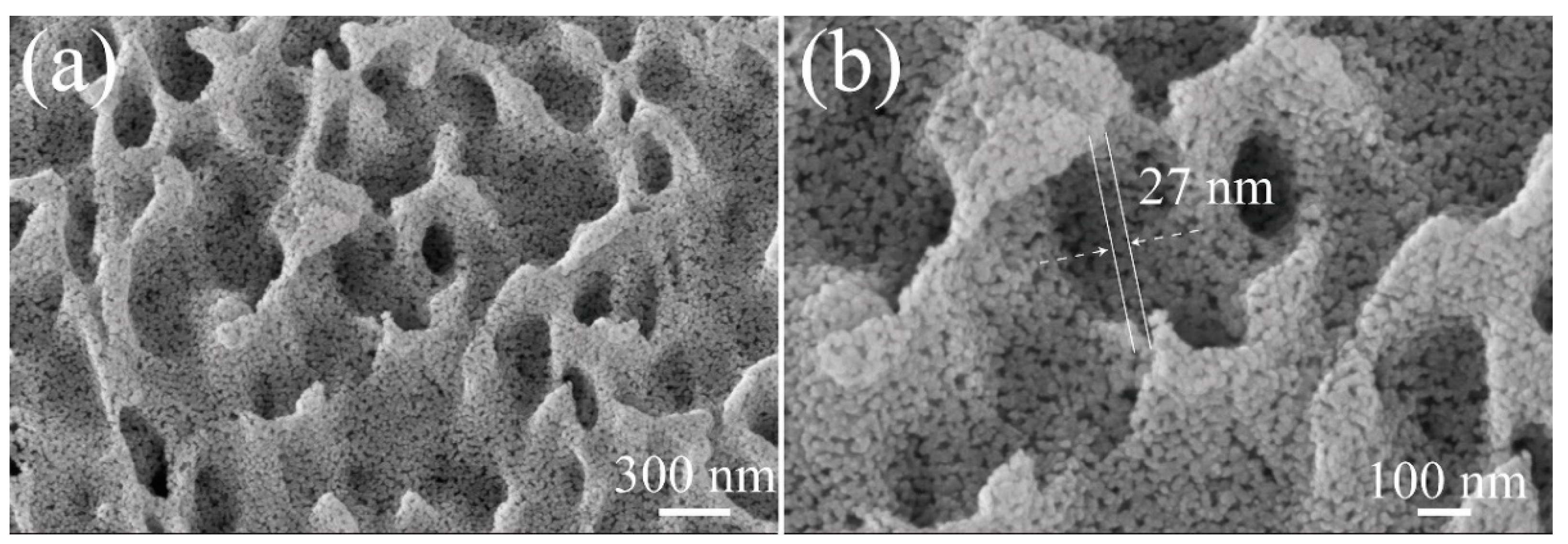 Catalysts 12 00535 g004 550