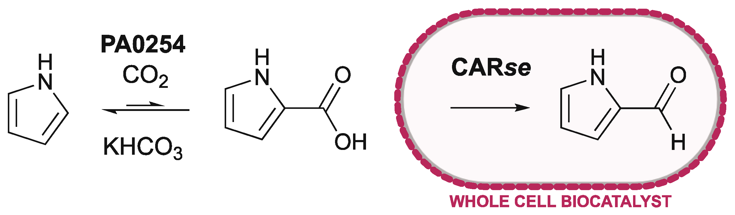 Catalysts 12 00538 g001 550