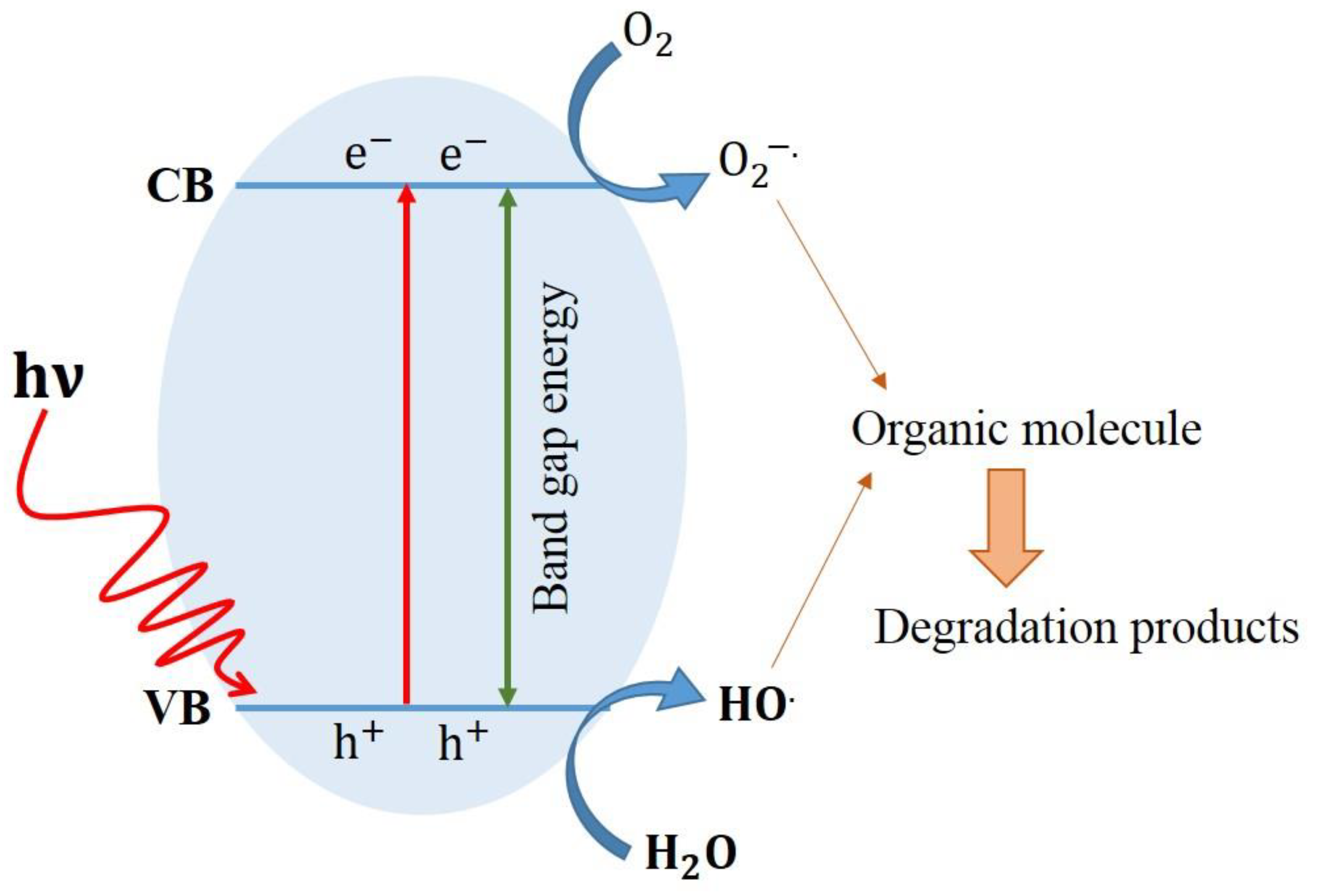 Catalysts 12 00544 g001 550