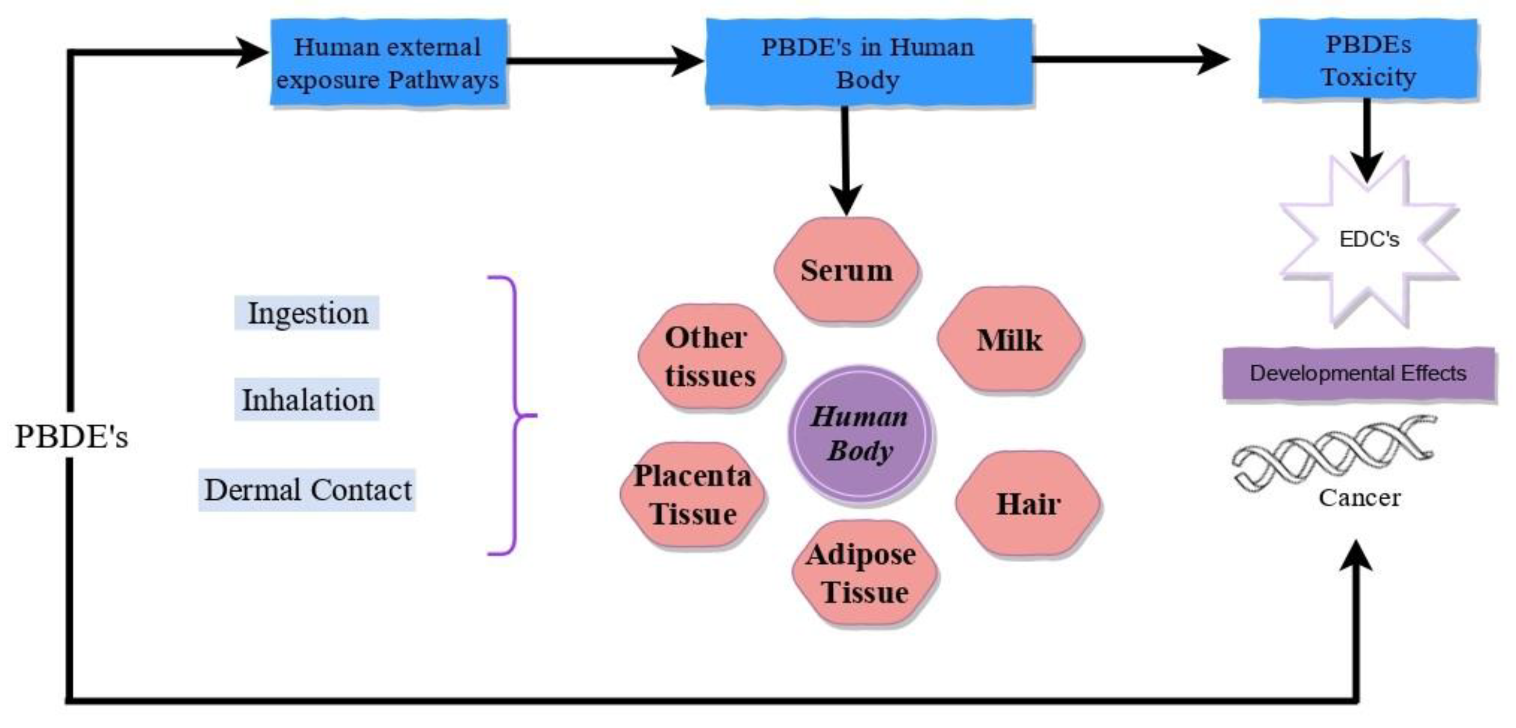 Catalysts 12 00544 g003 550