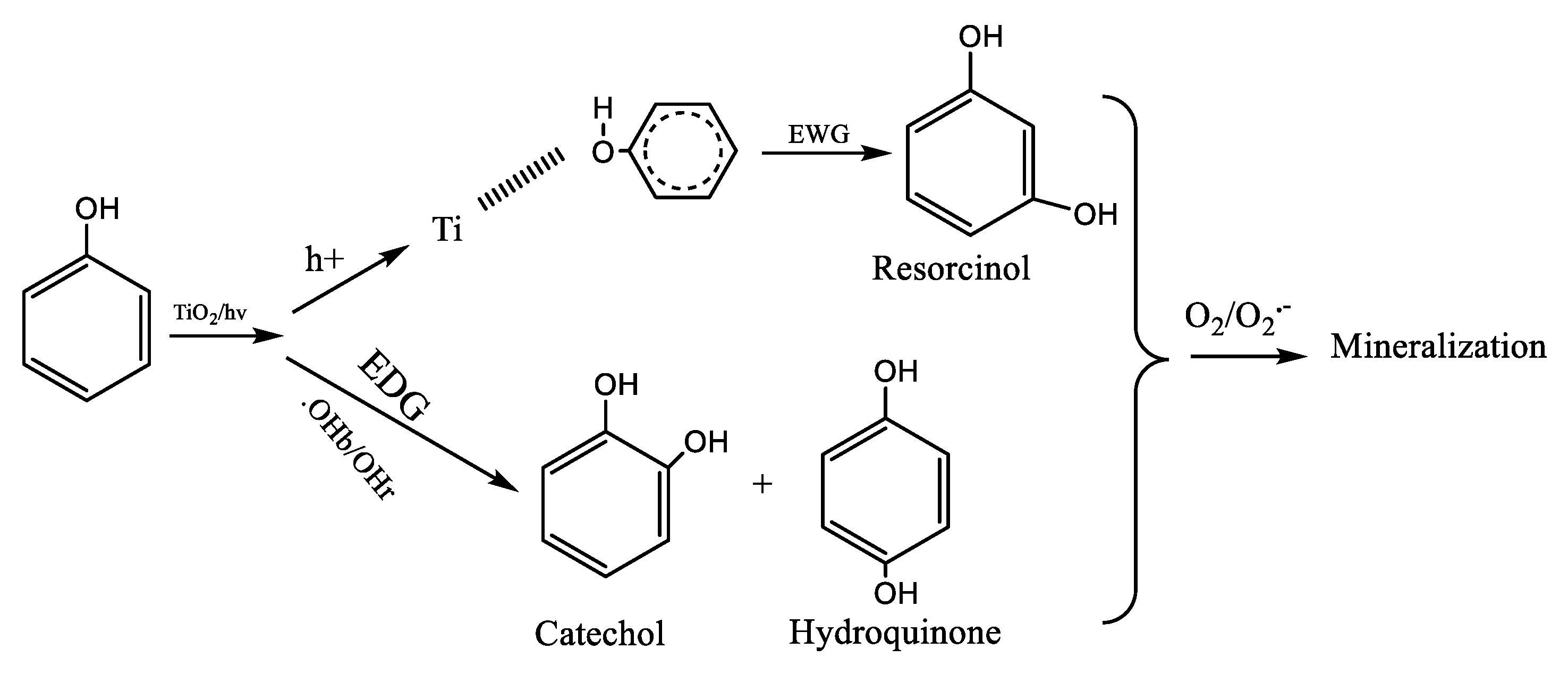 Catalysts 12 00544 g005a 550
