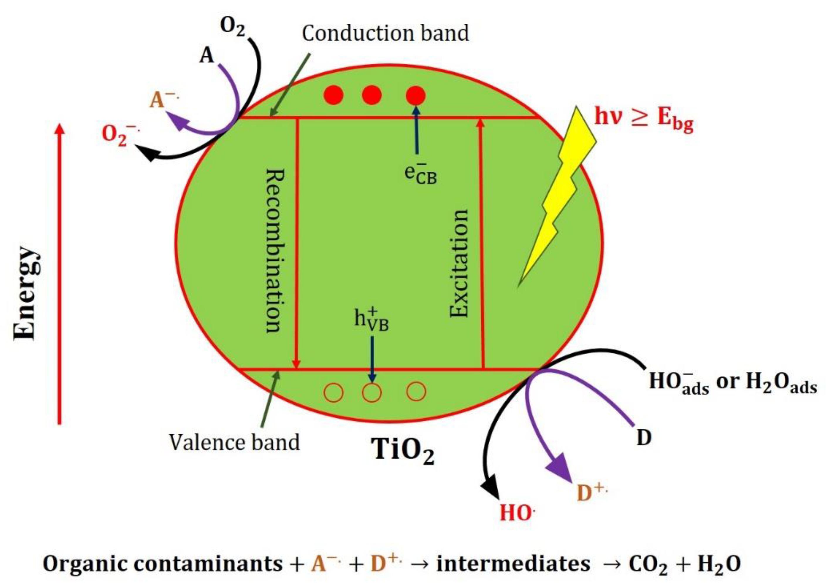 Catalysts 12 00544 g005b 550