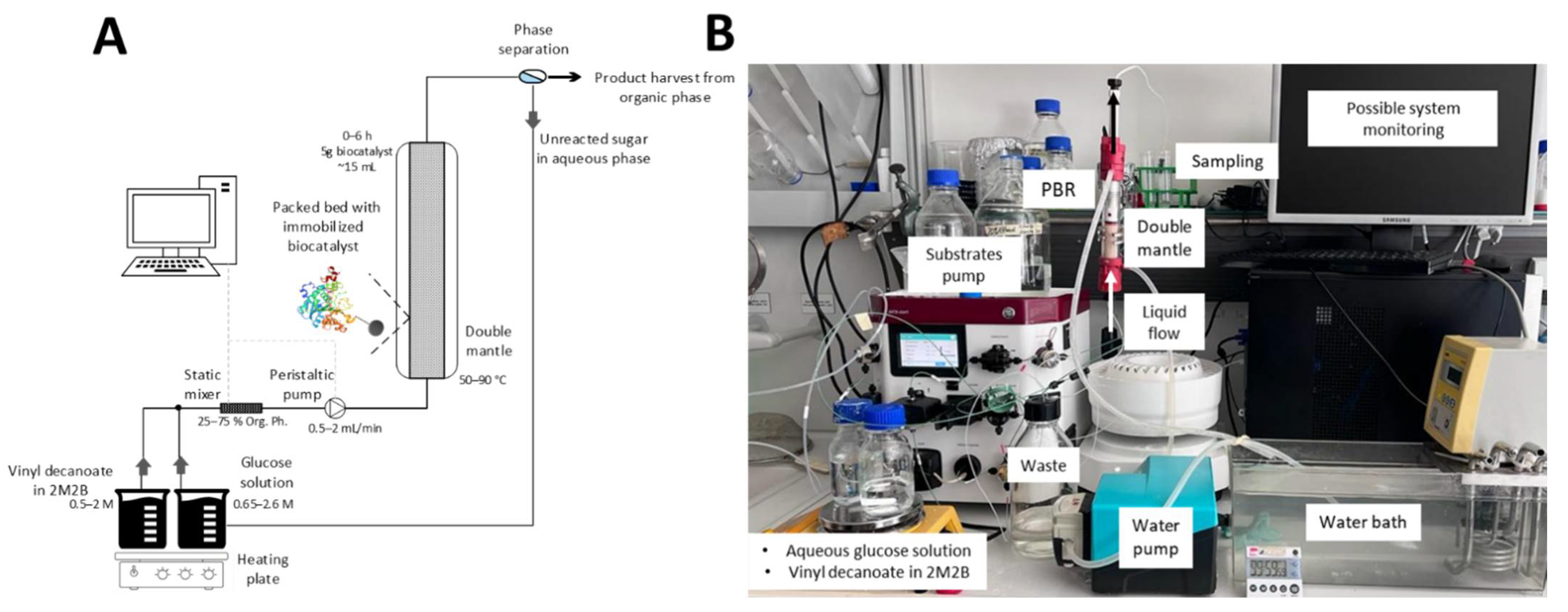Catalysts 12 00551 g006 550