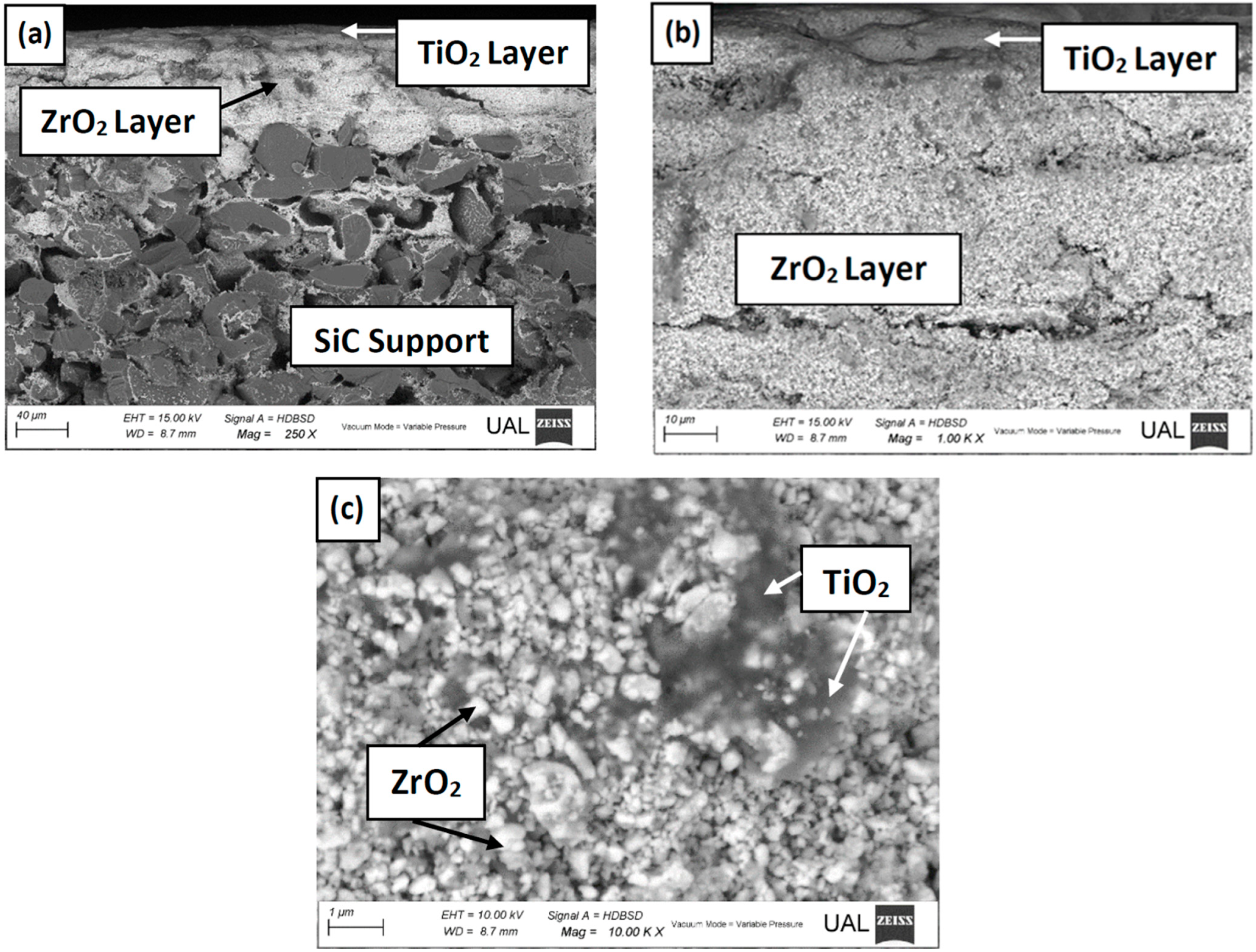Catalysts 12 00552 g001 550