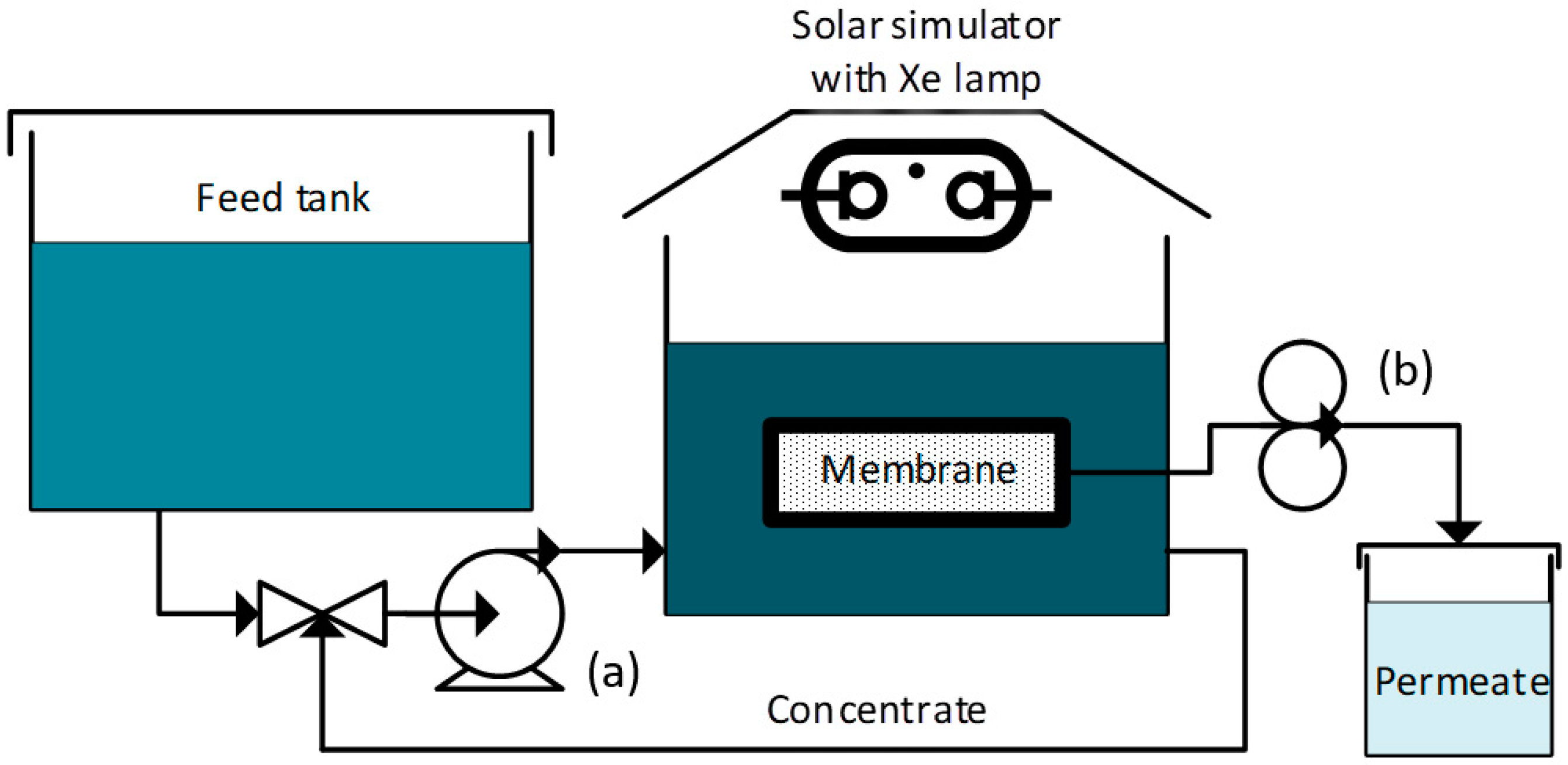 Catalysts 12 00552 g002 550