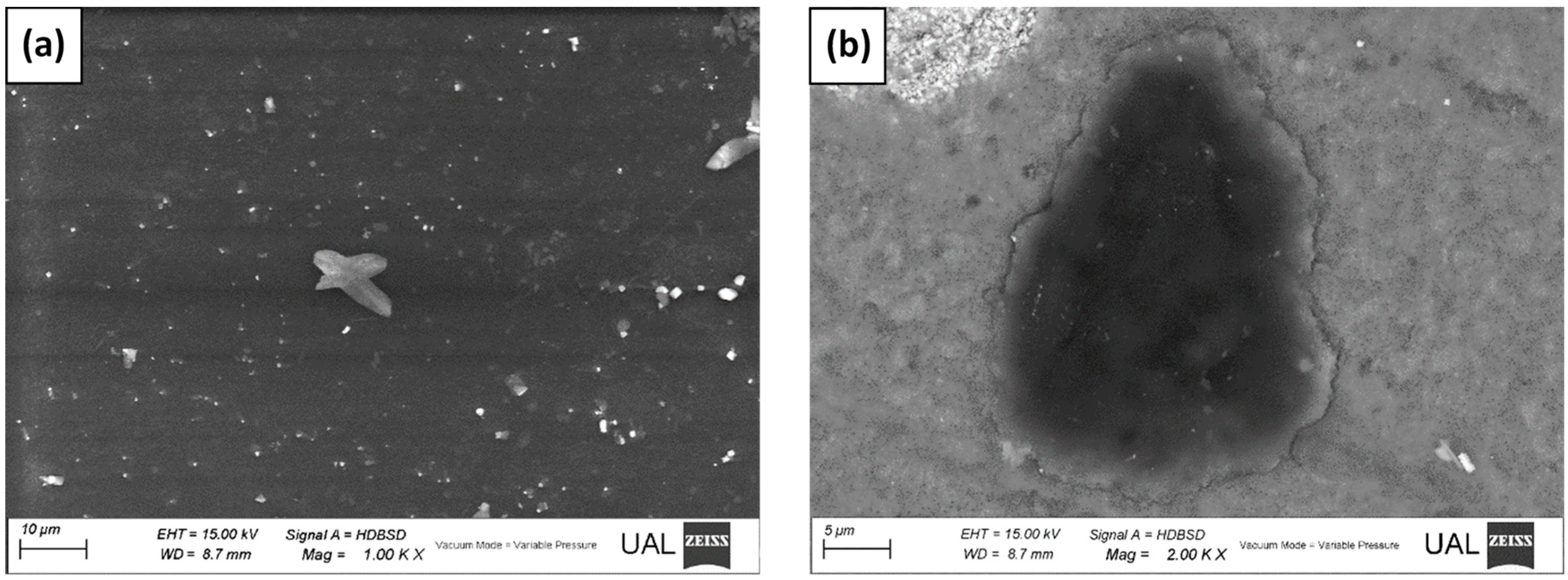 Catalysts 12 00552 g004 550