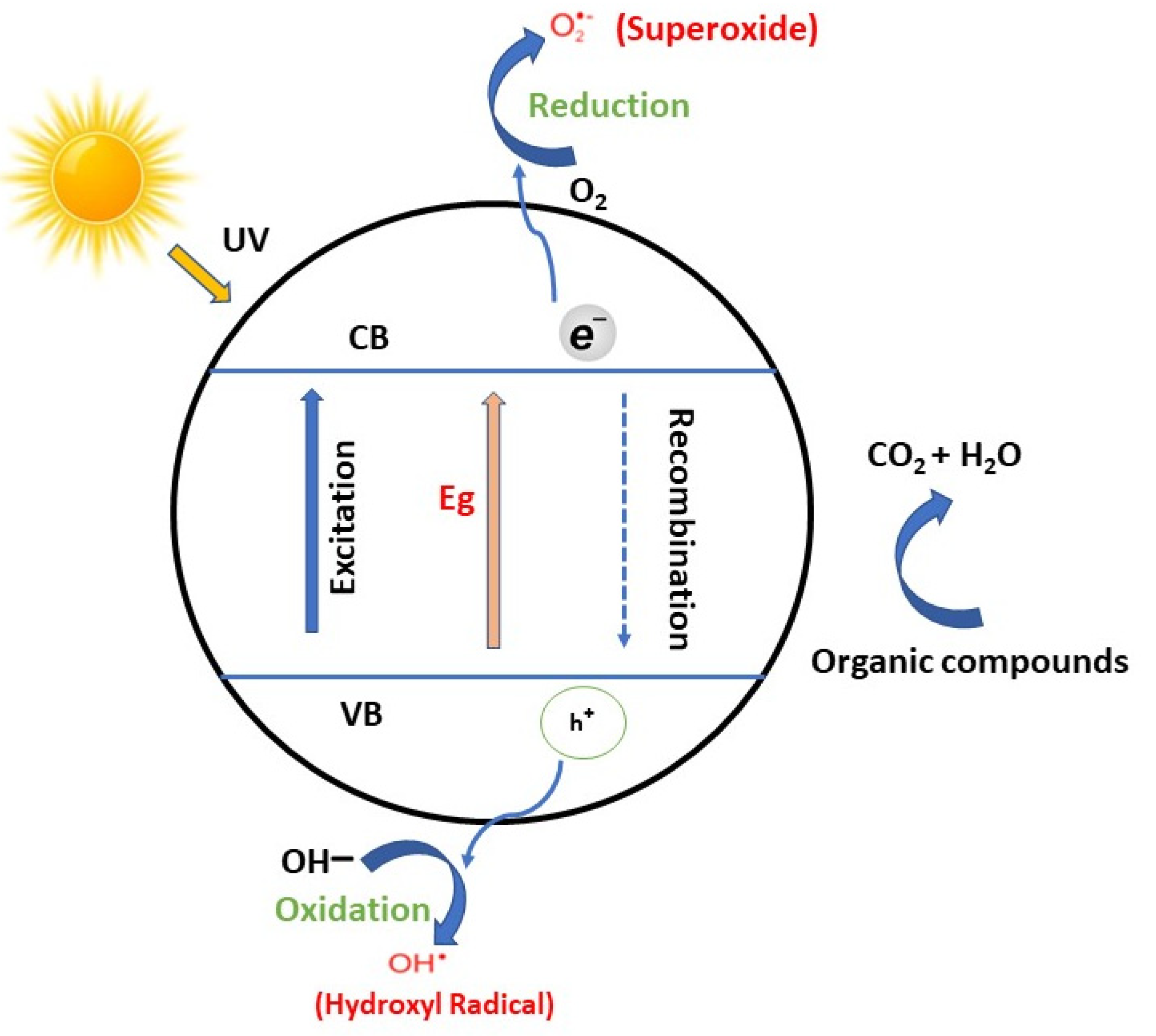 Catalysts 12 00557 g003 550