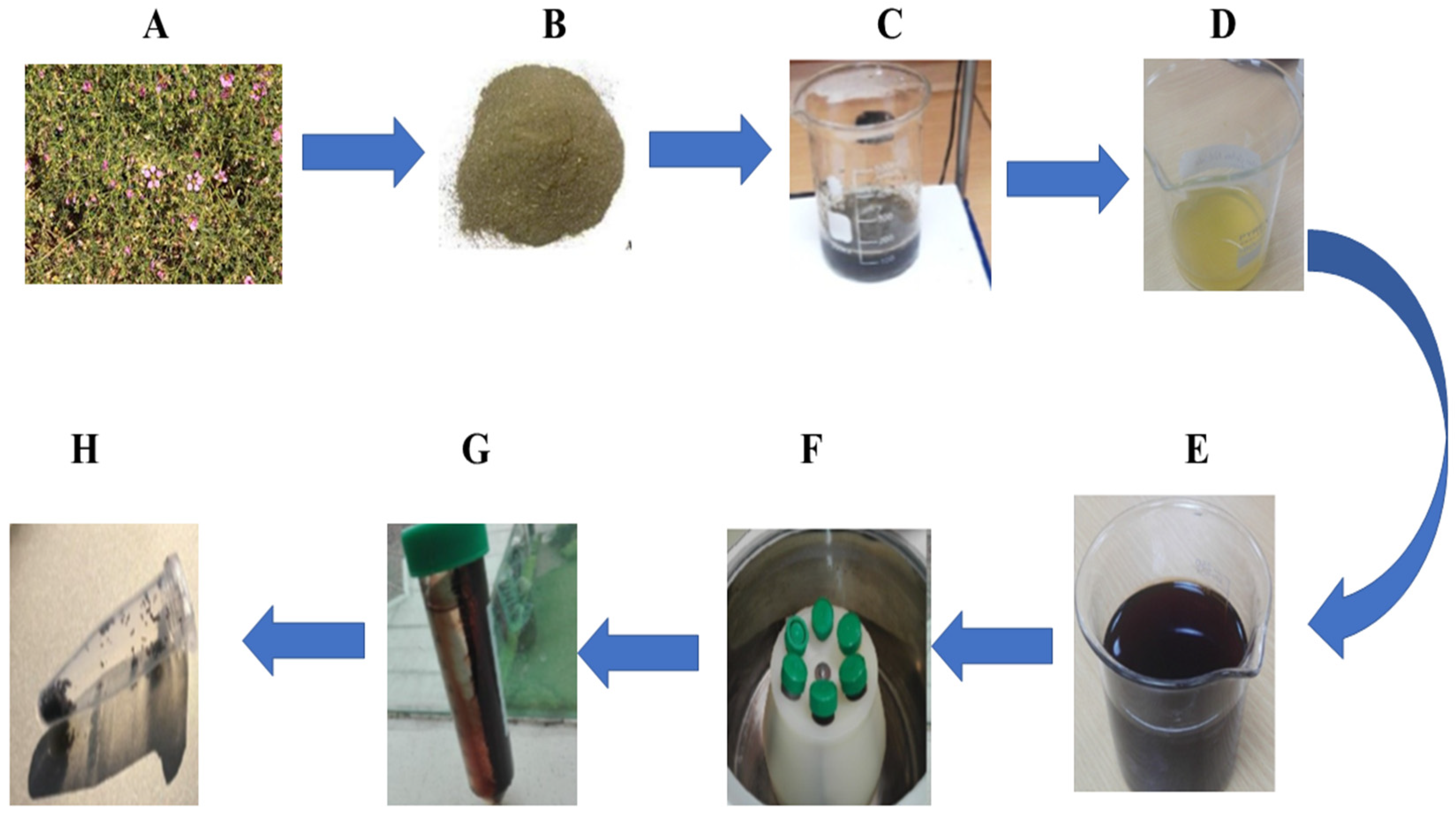 Catalysts 12 00558 g001 550
