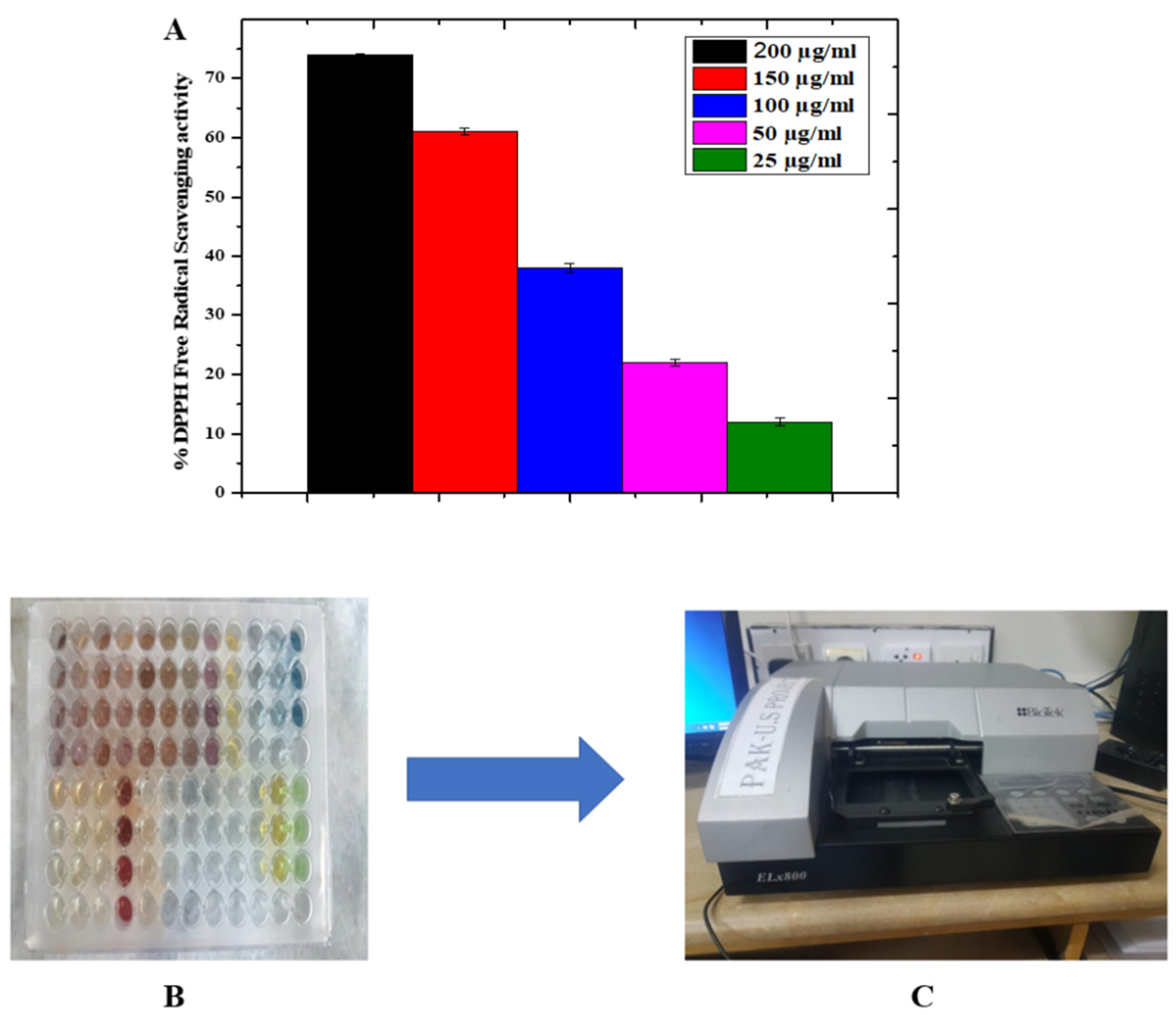 Catalysts 12 00558 g005 550