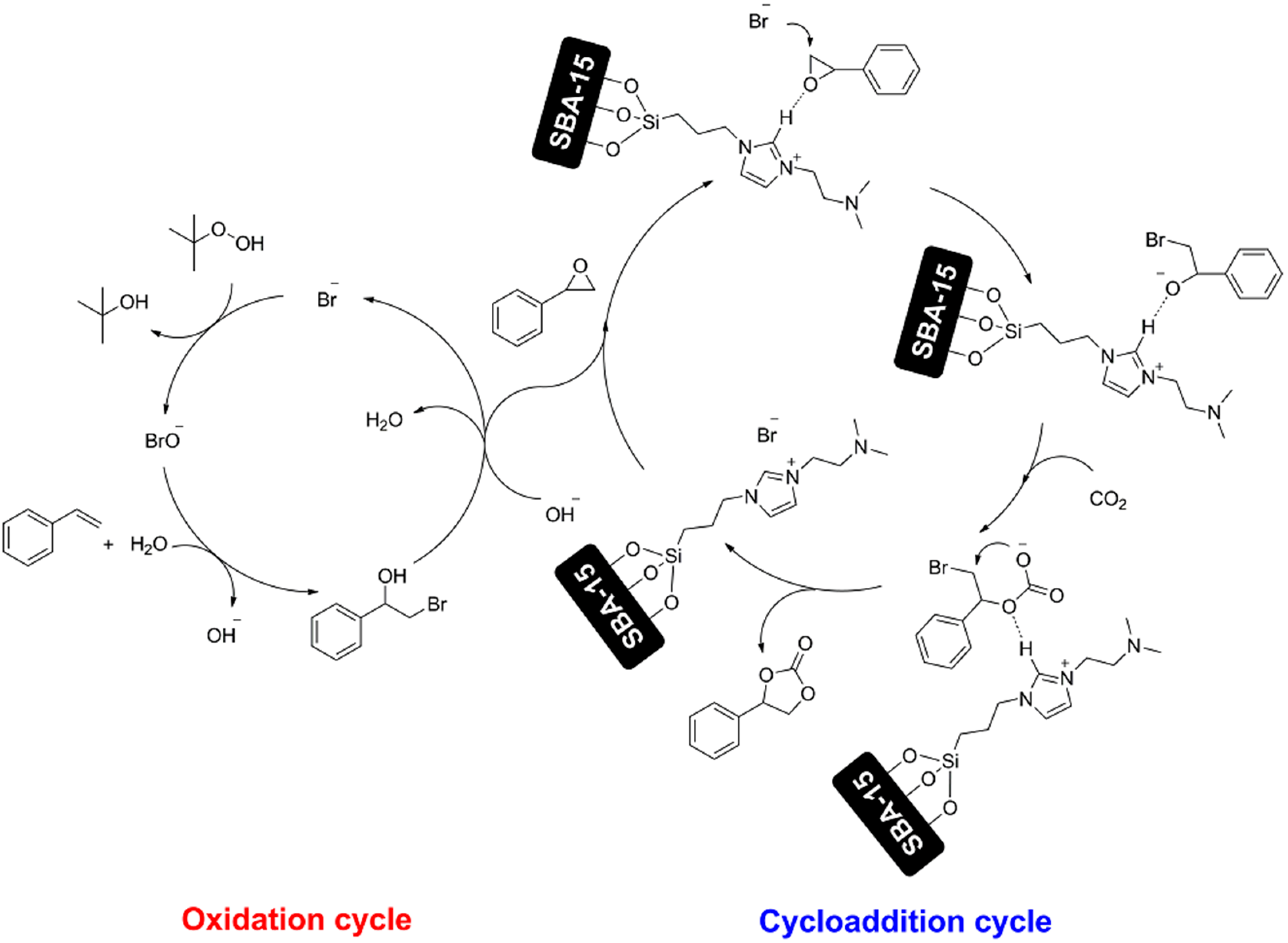 Catalysts 12 00563 sch011