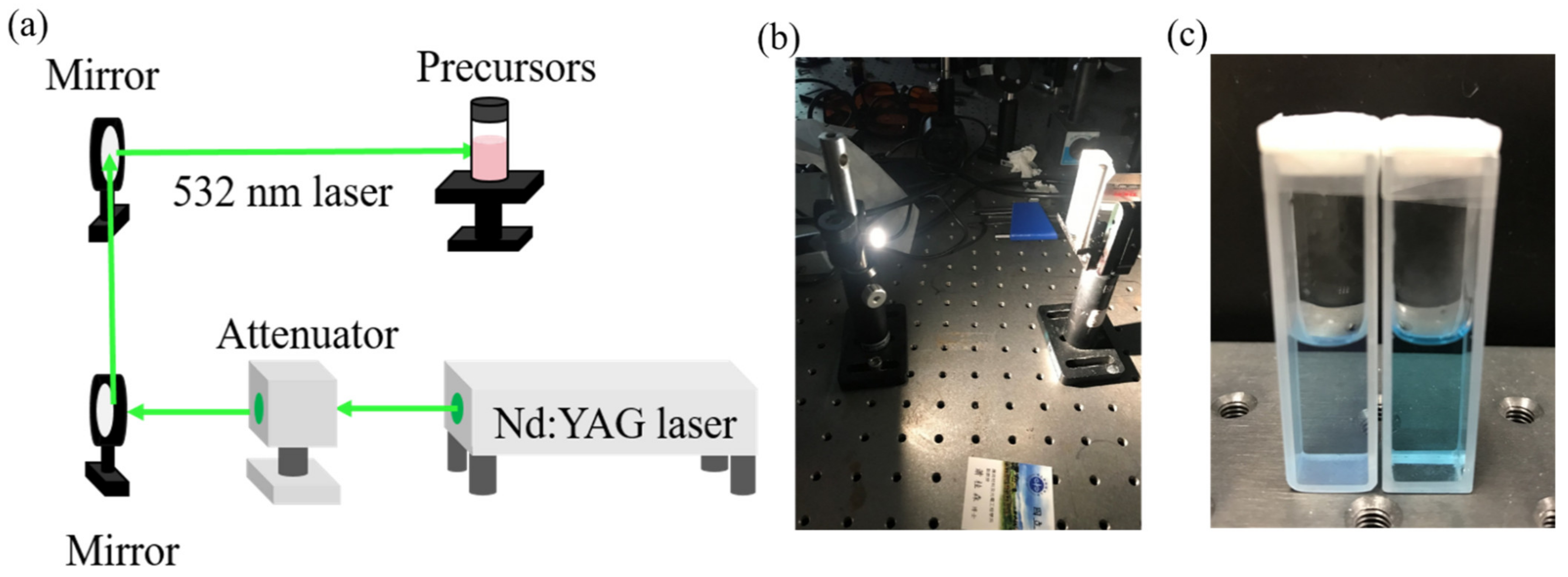 Catalysts 12 00564 g001 550