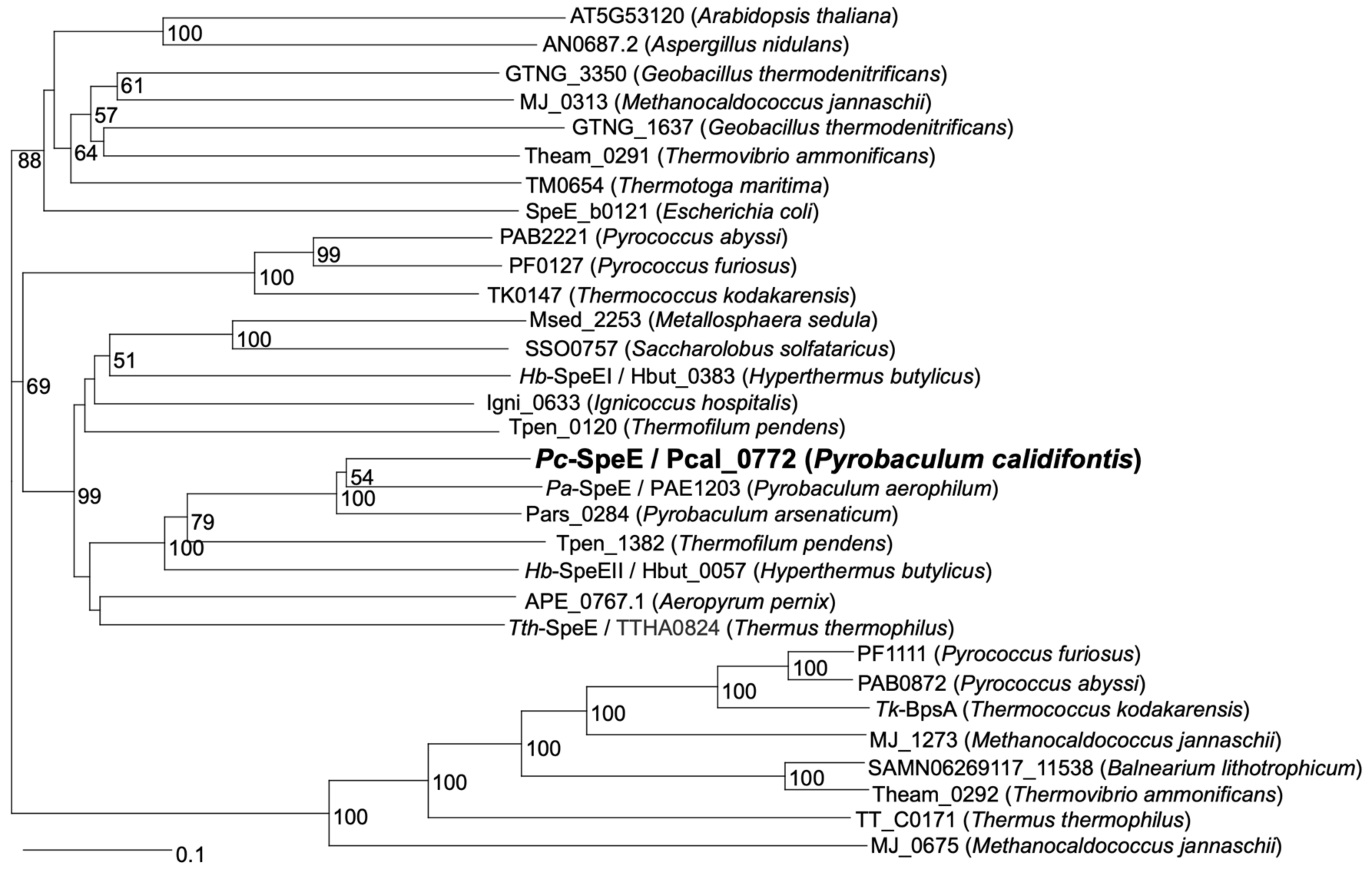 Catalysts 12 00567 g003