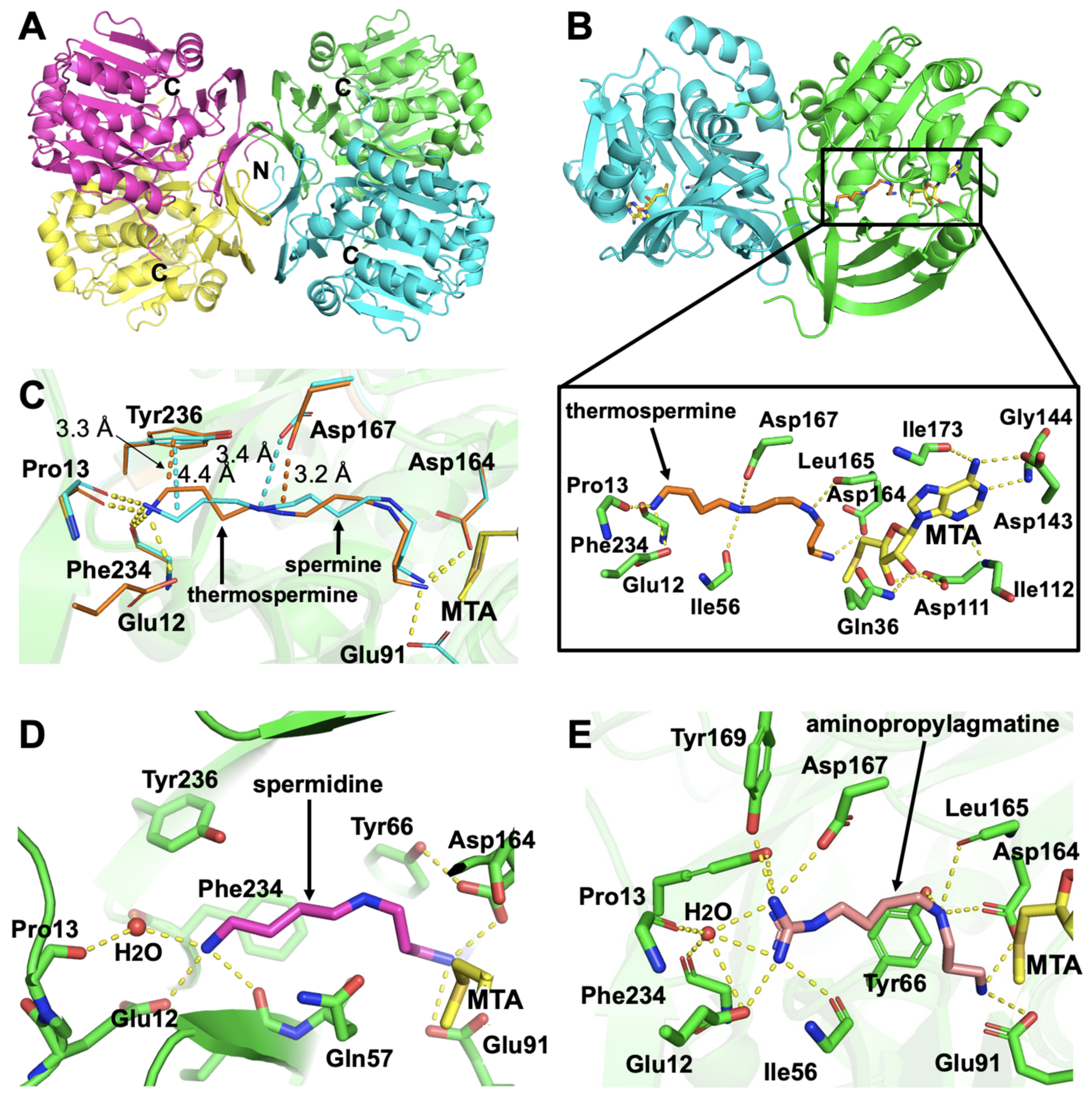 Catalysts 12 00567 g004