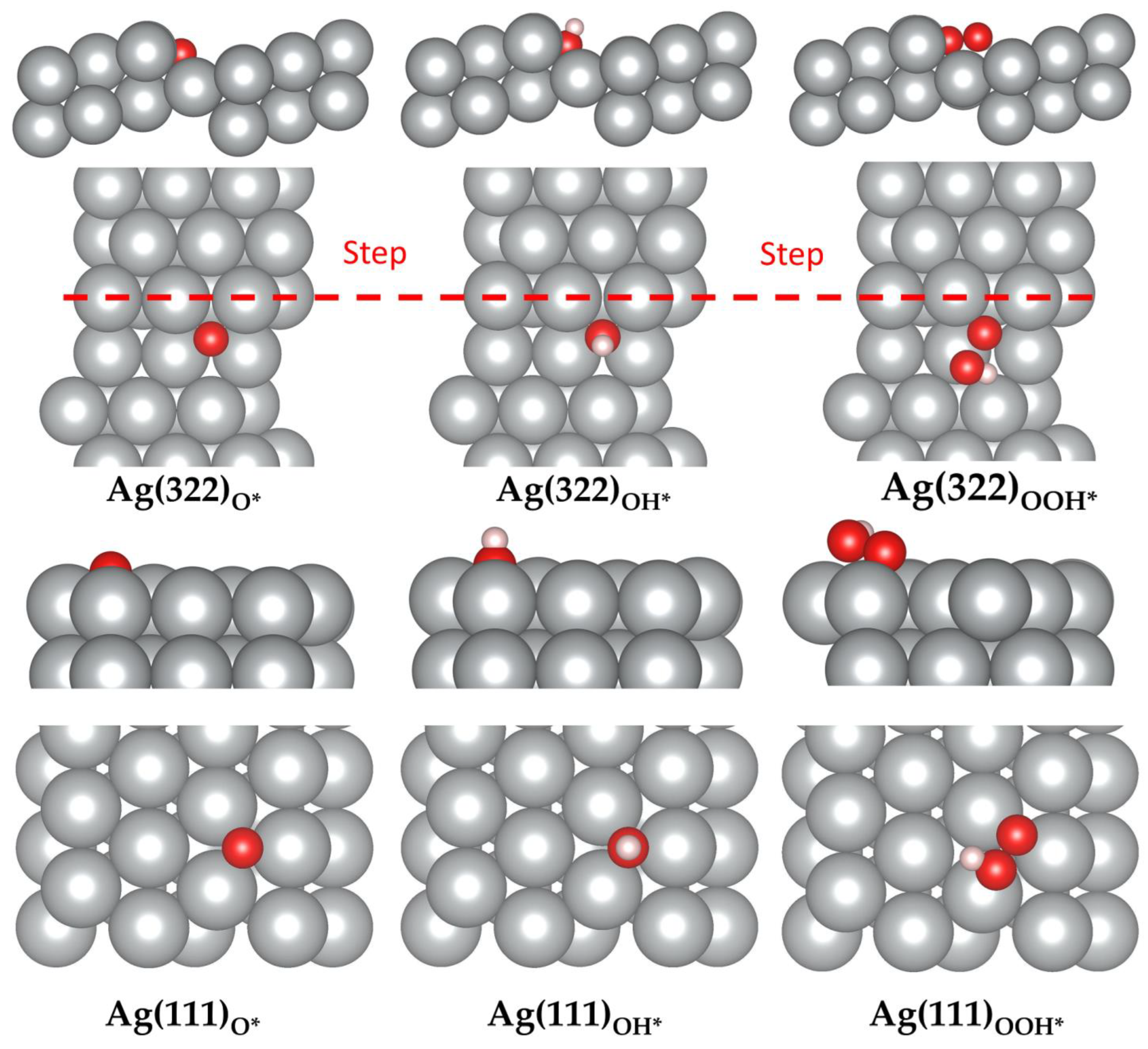Catalysts 12 00576 g005