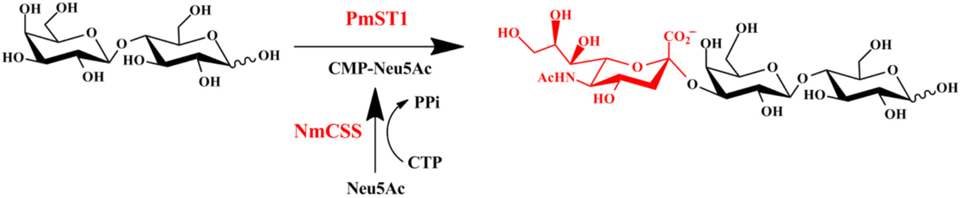 Catalysts 12 00579 sch001 Catalysts 12 00579 sch001
