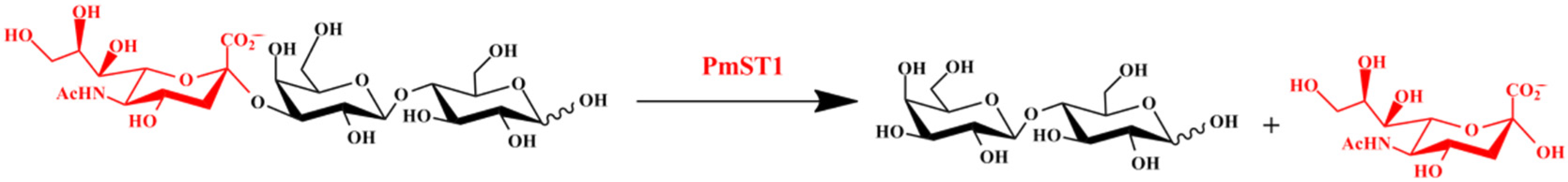 Catalysts 12 00579 sch002 Catalysts 12 00579 sch002