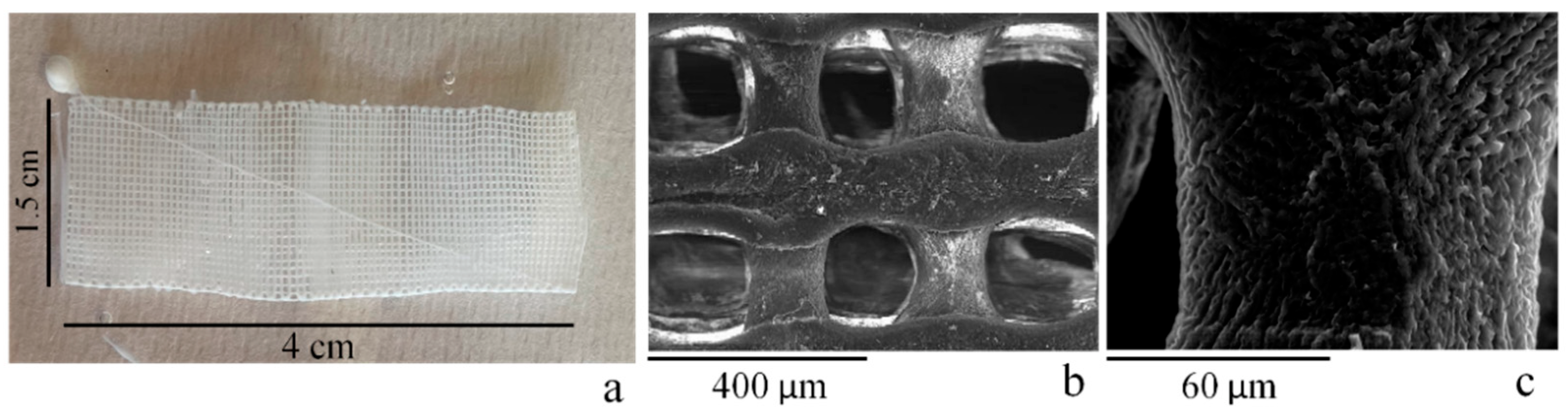 Catalysts 12 00580 g003