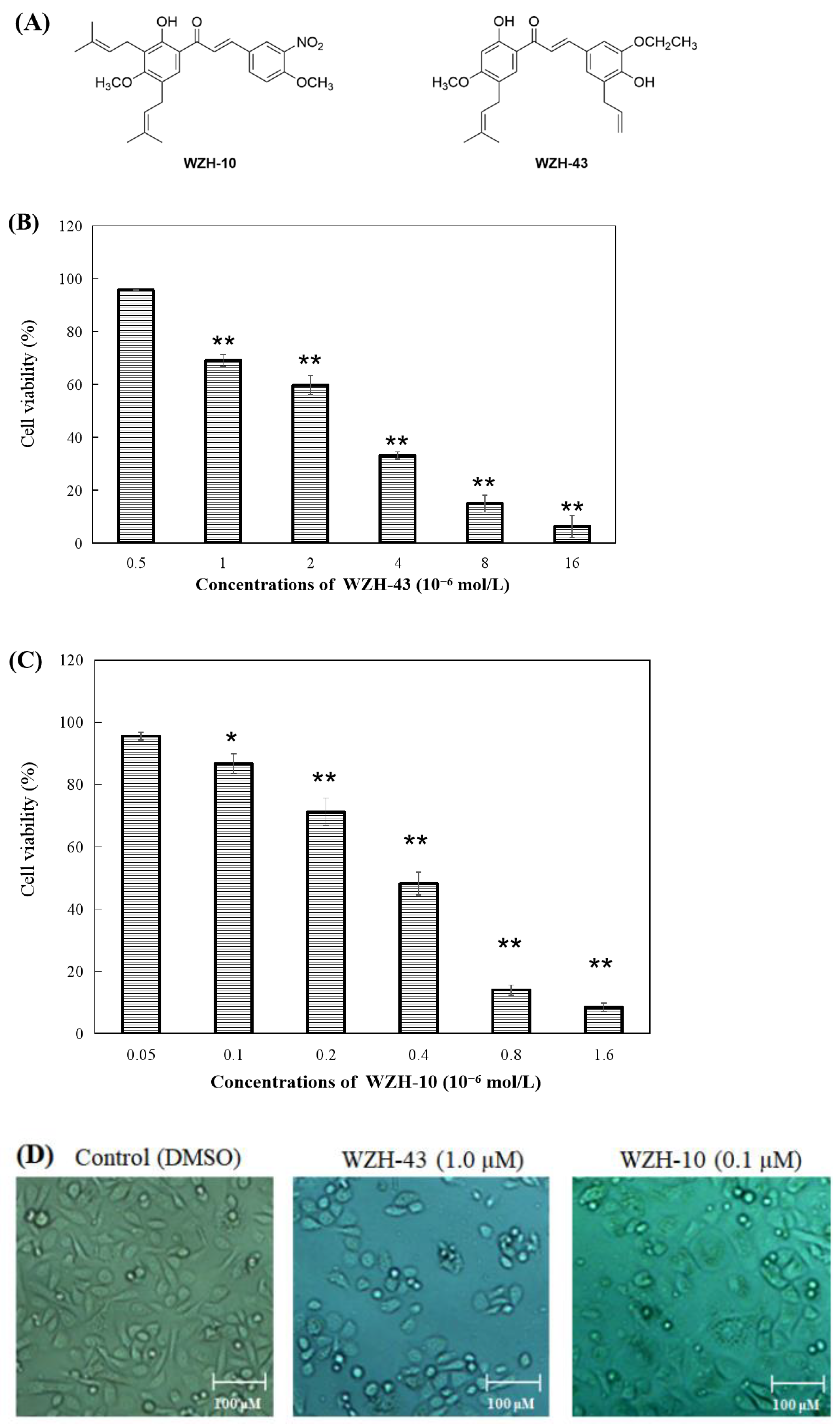 Catalysts 12 00582 g001 Catalysts 12 00582 g001