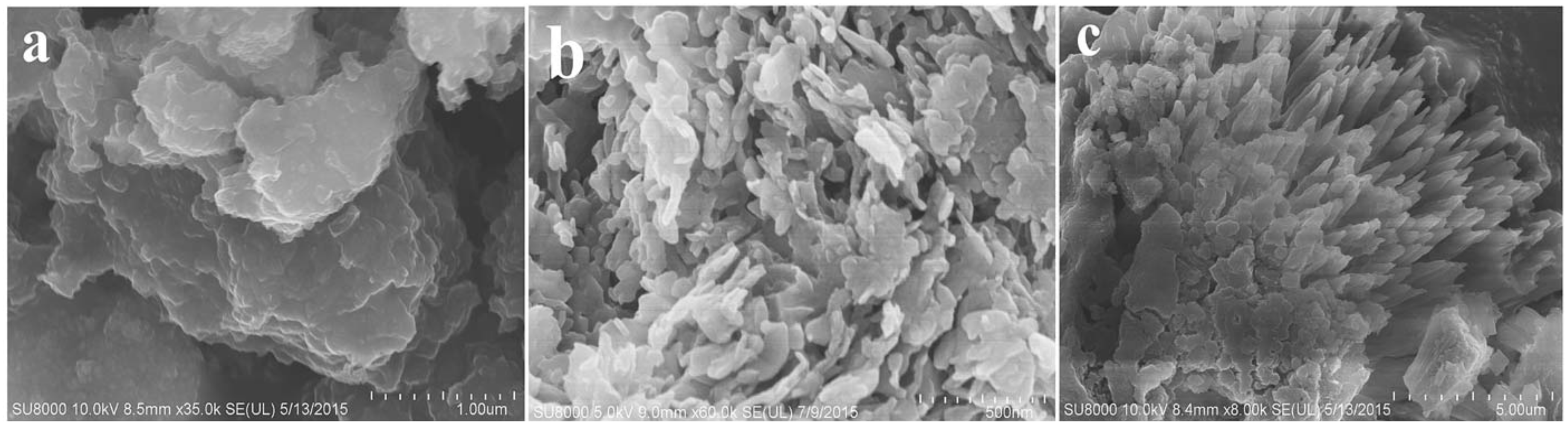 Catalysts 12 00586 g021