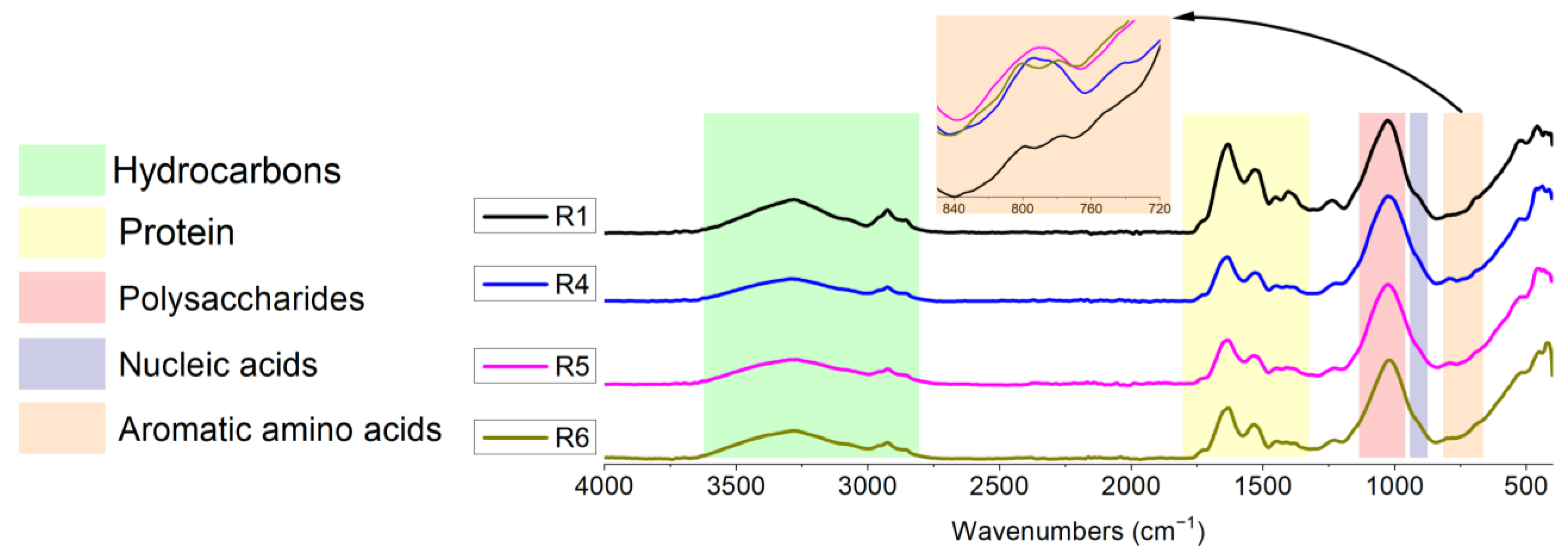 Catalysts 12 00590 g002