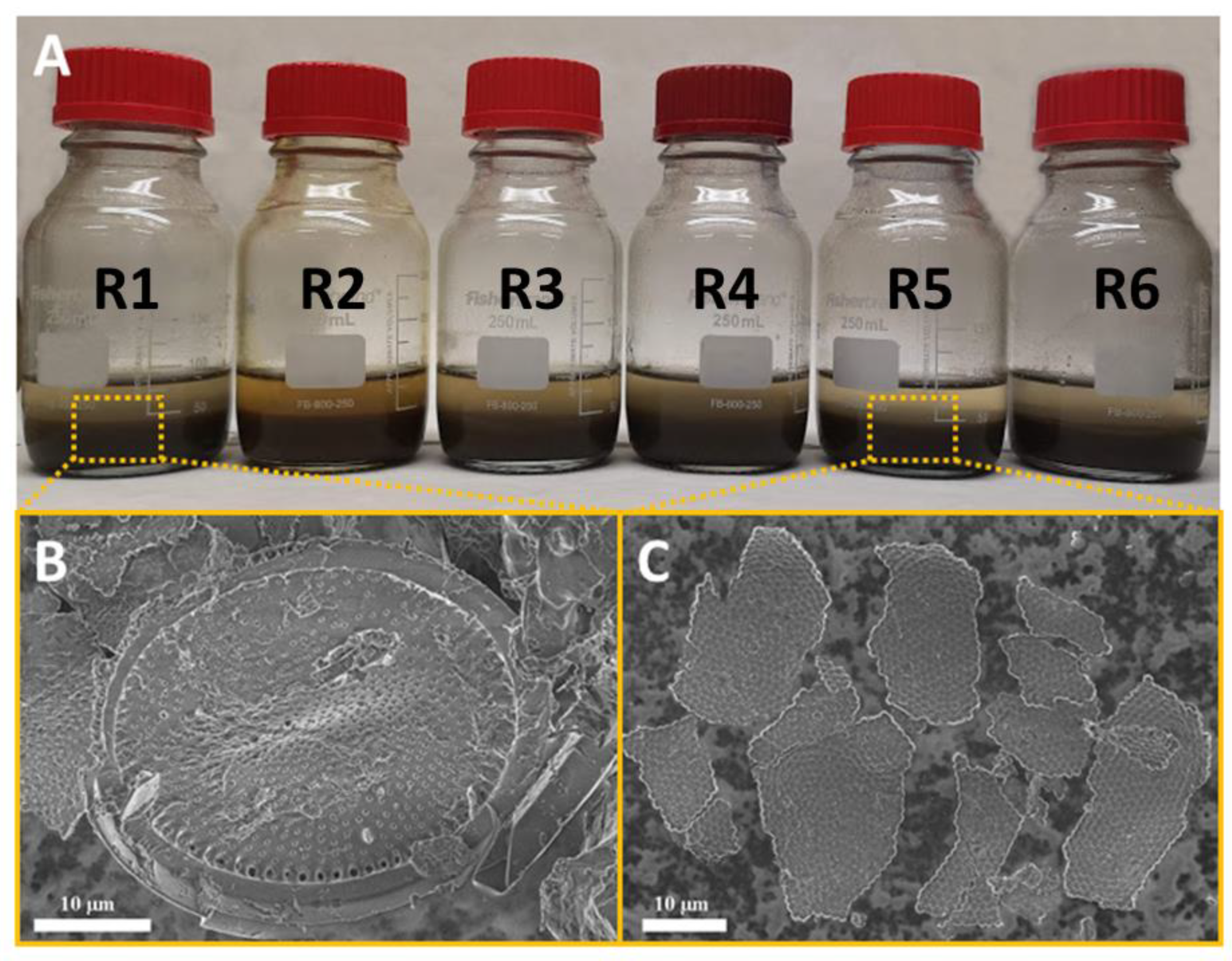 Catalysts 12 00590 g003