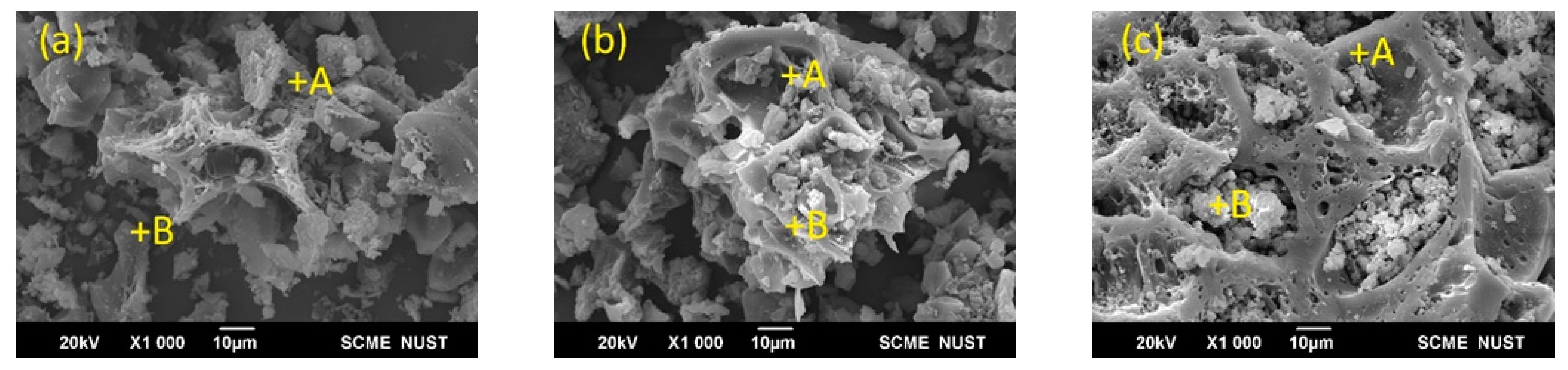 Catalysts 12 00592 g002