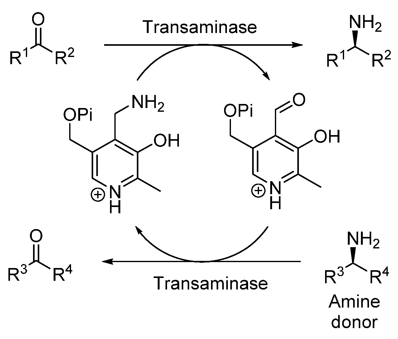 Catalysts 12 00595 sch001