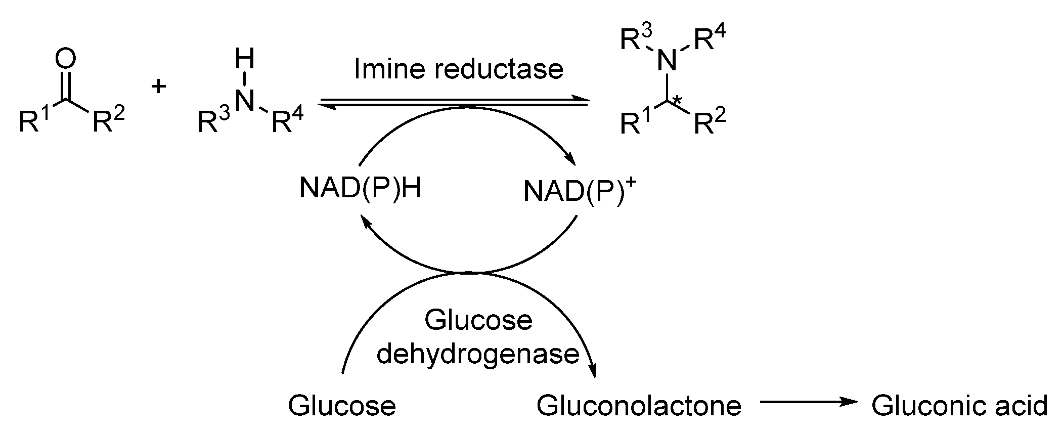 Catalysts 12 00595 sch014
