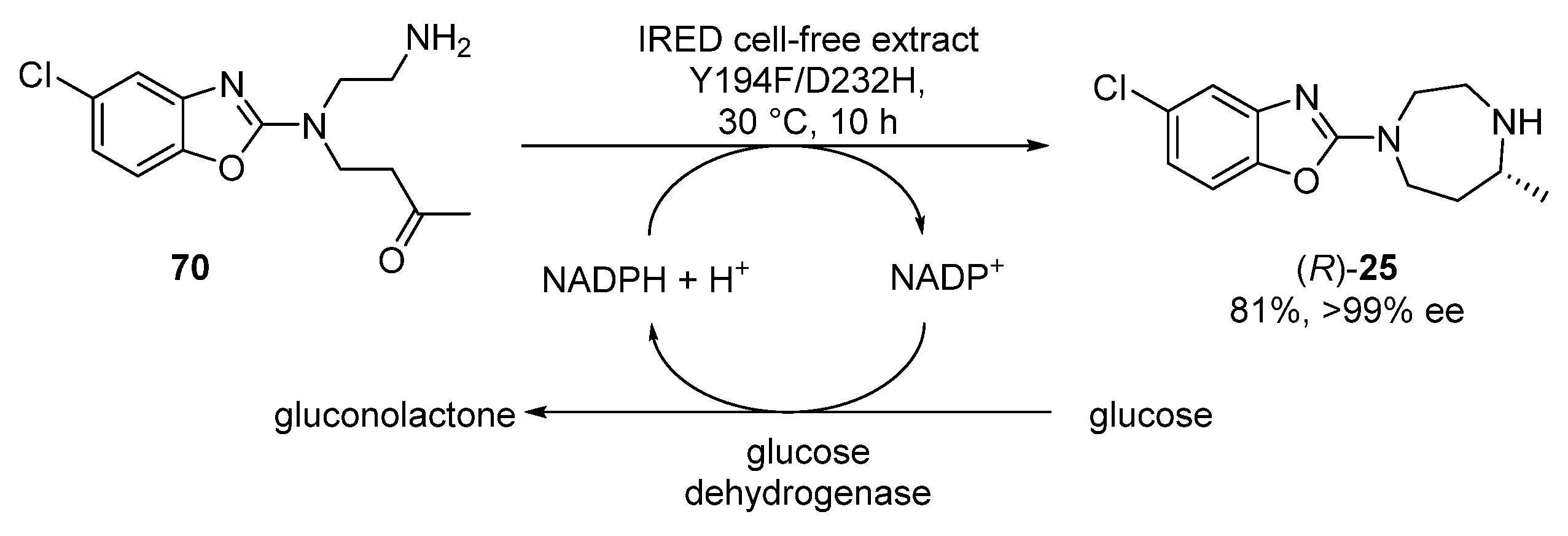 Catalysts 12 00595 sch018