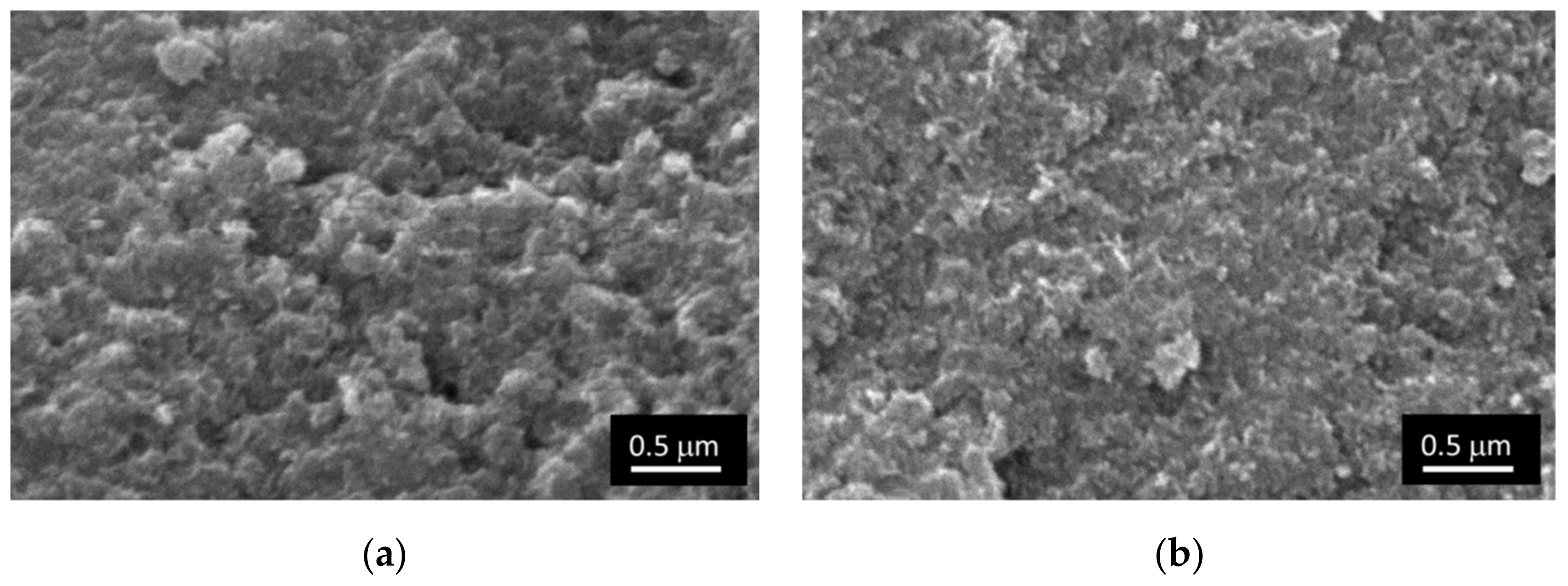 Catalysts 12 00598 g002