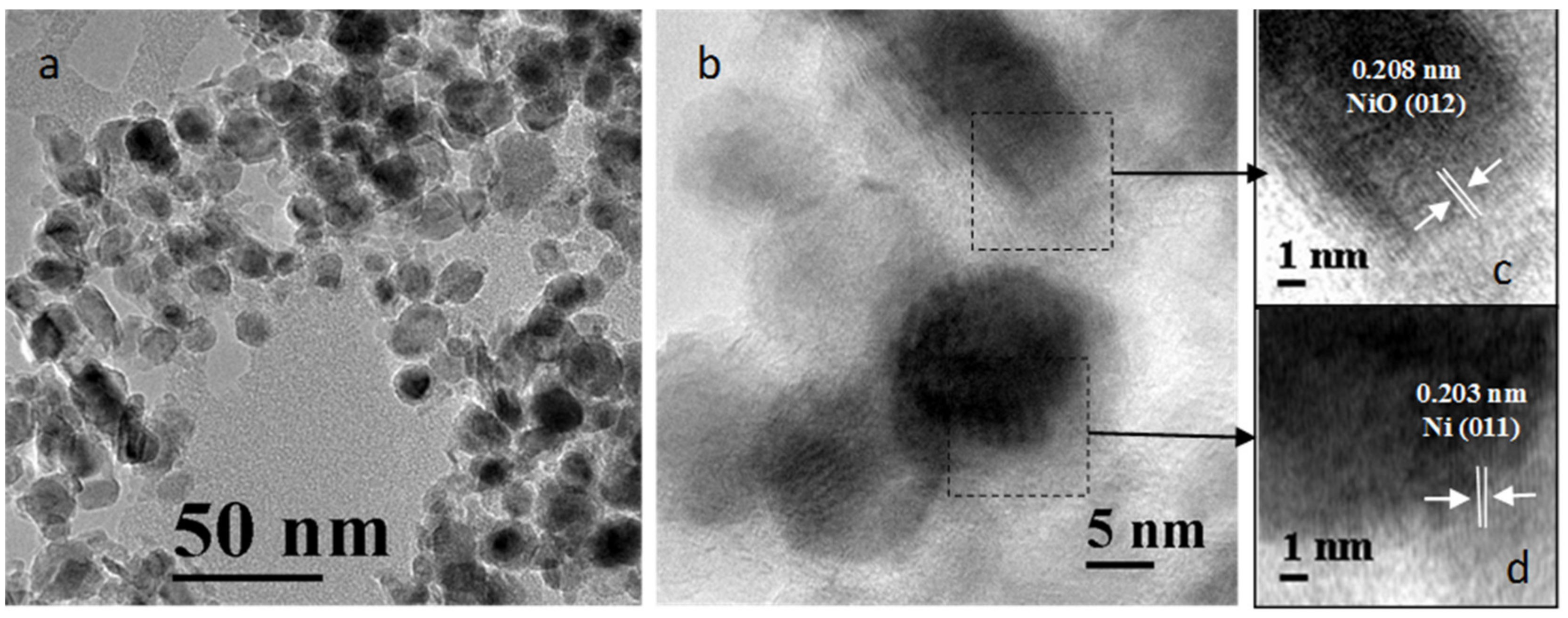 Catalysts 12 00598 g008
