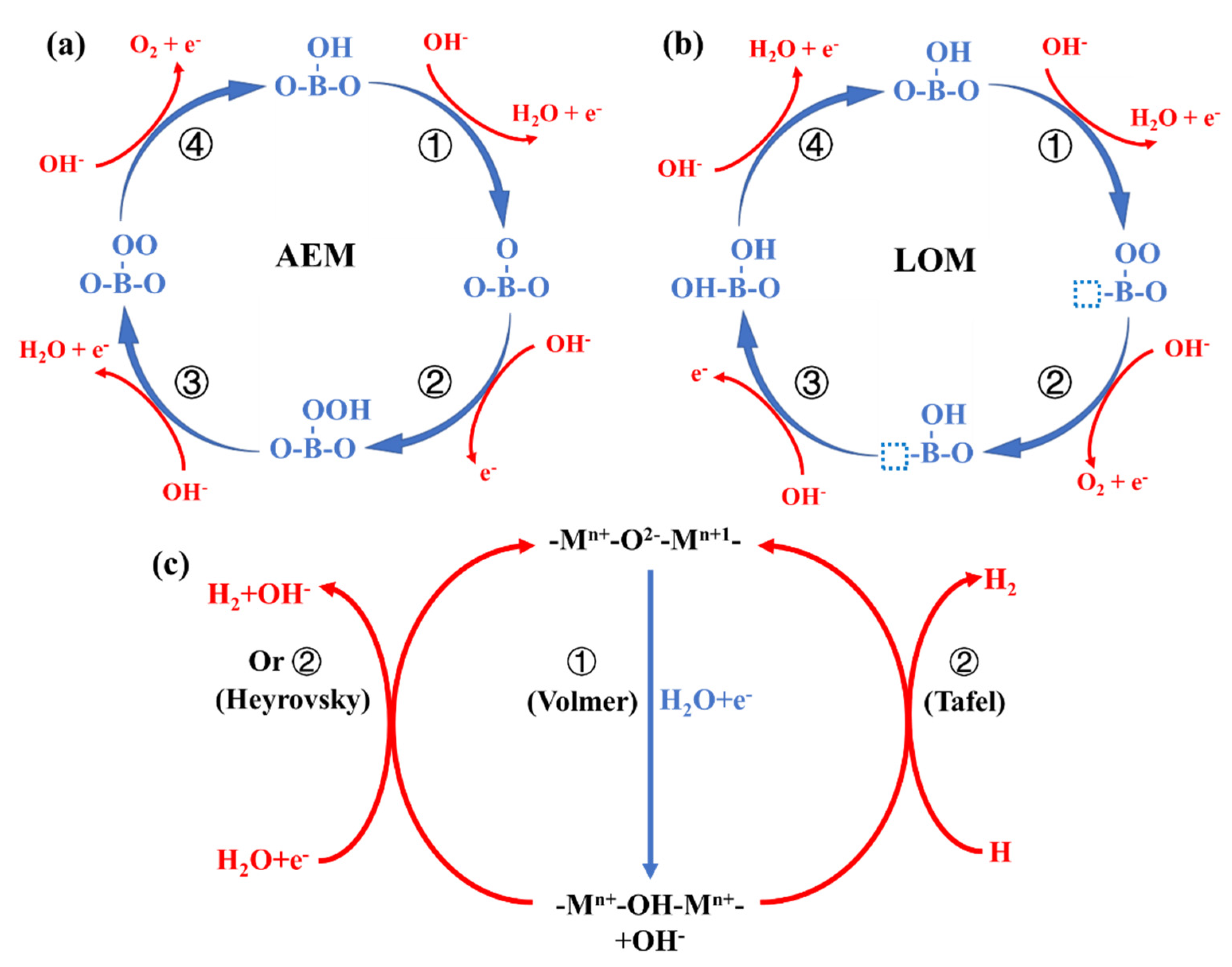 Catalysts 12 00601 g002 550