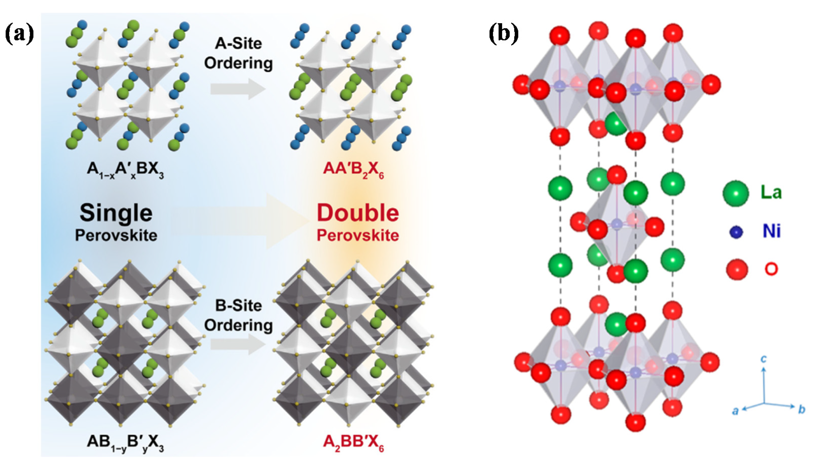 Catalysts 12 00601 g004 550