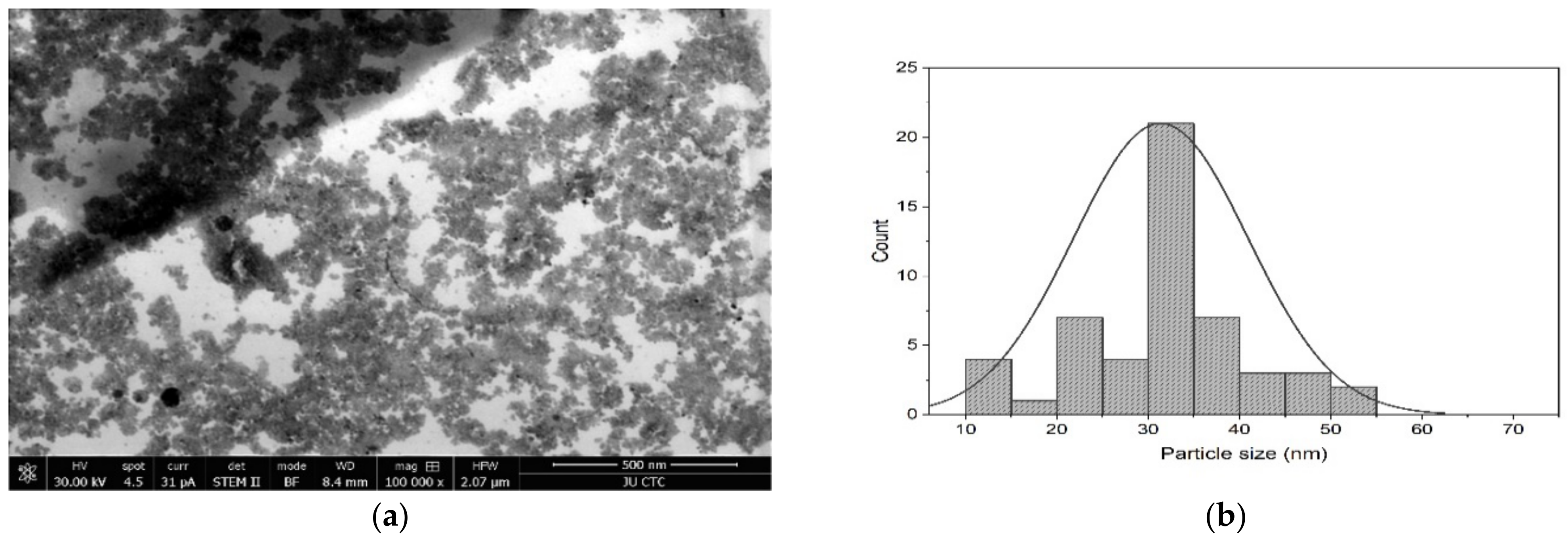 Catalysts 12 00611 g002