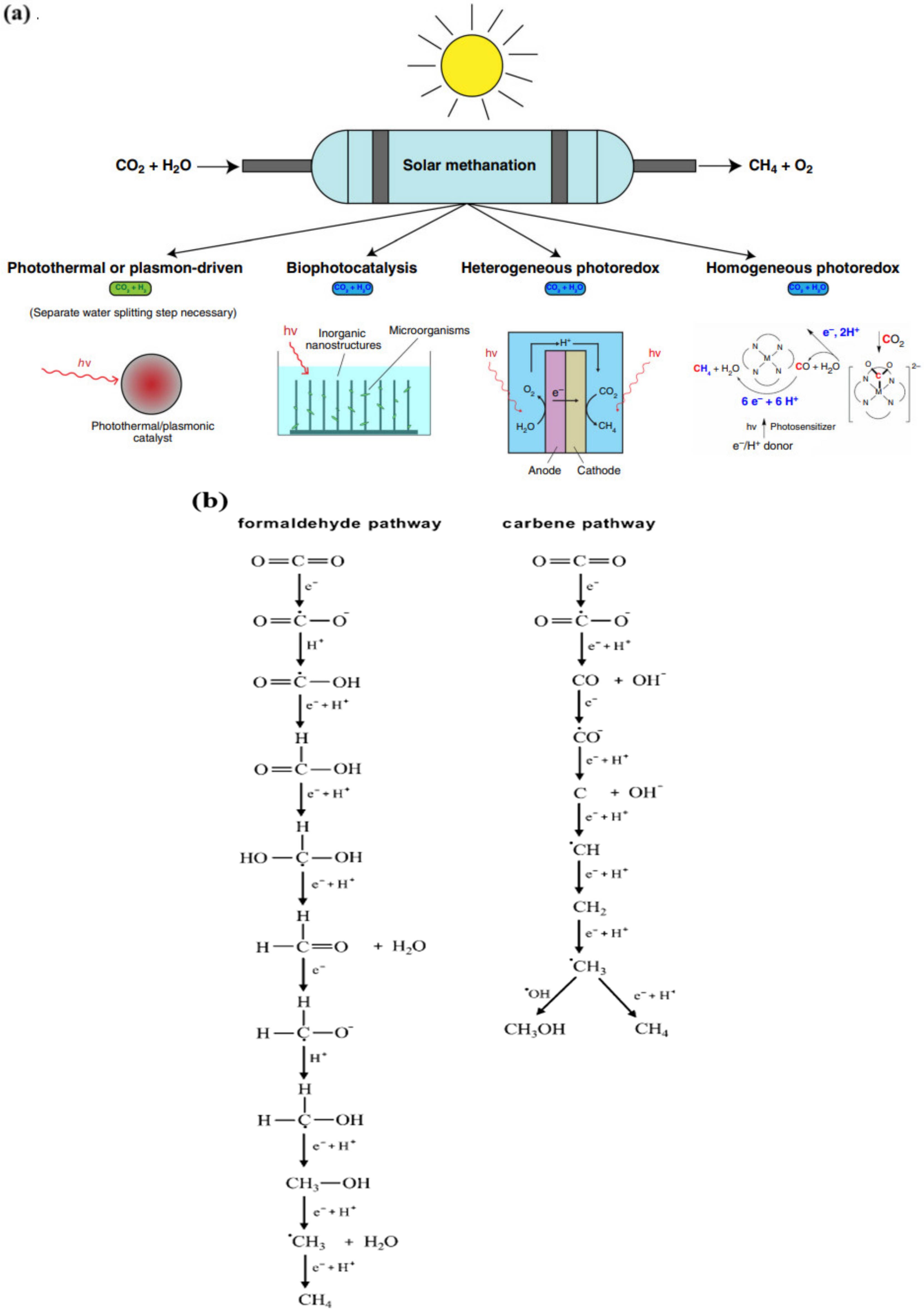 Catalysts 12 00612 g001