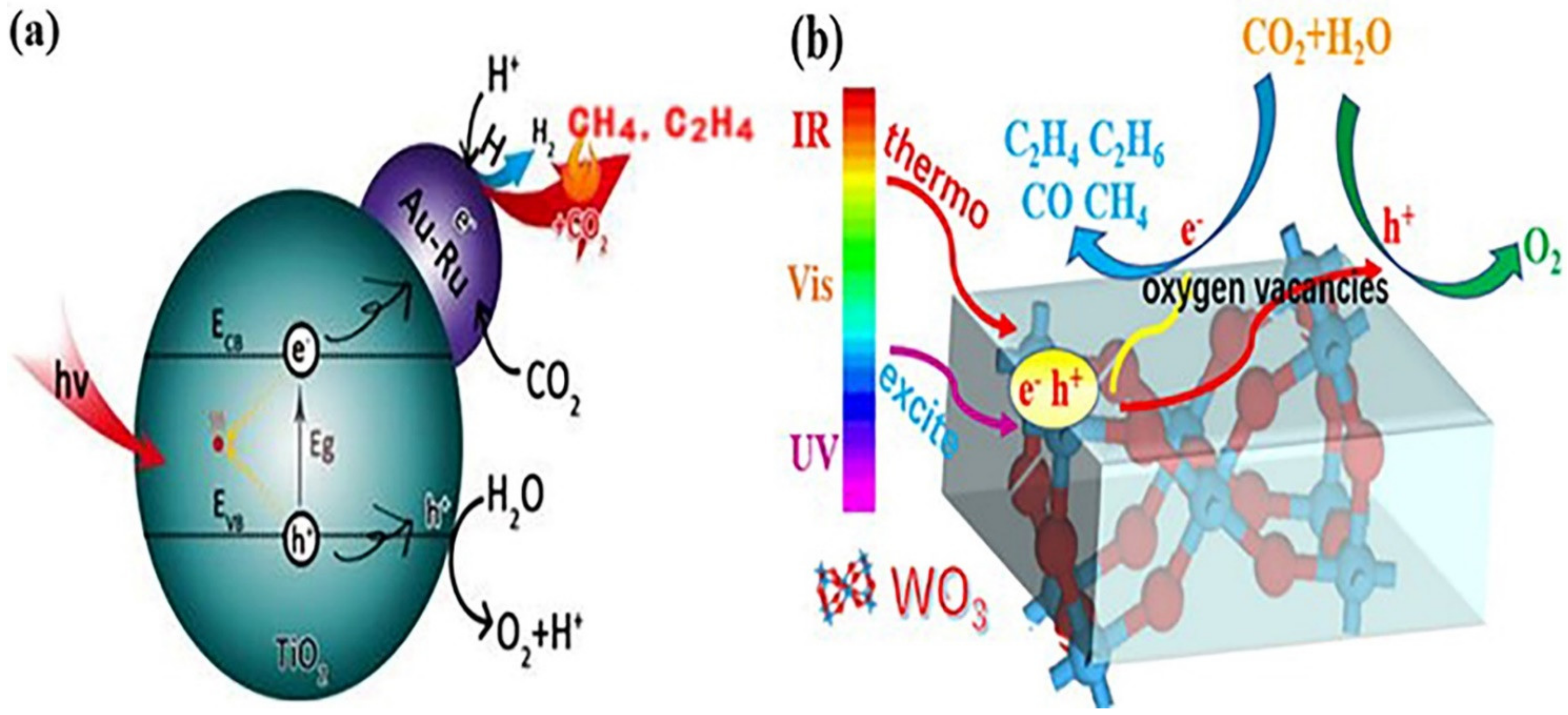 Catalysts 12 00612 g004