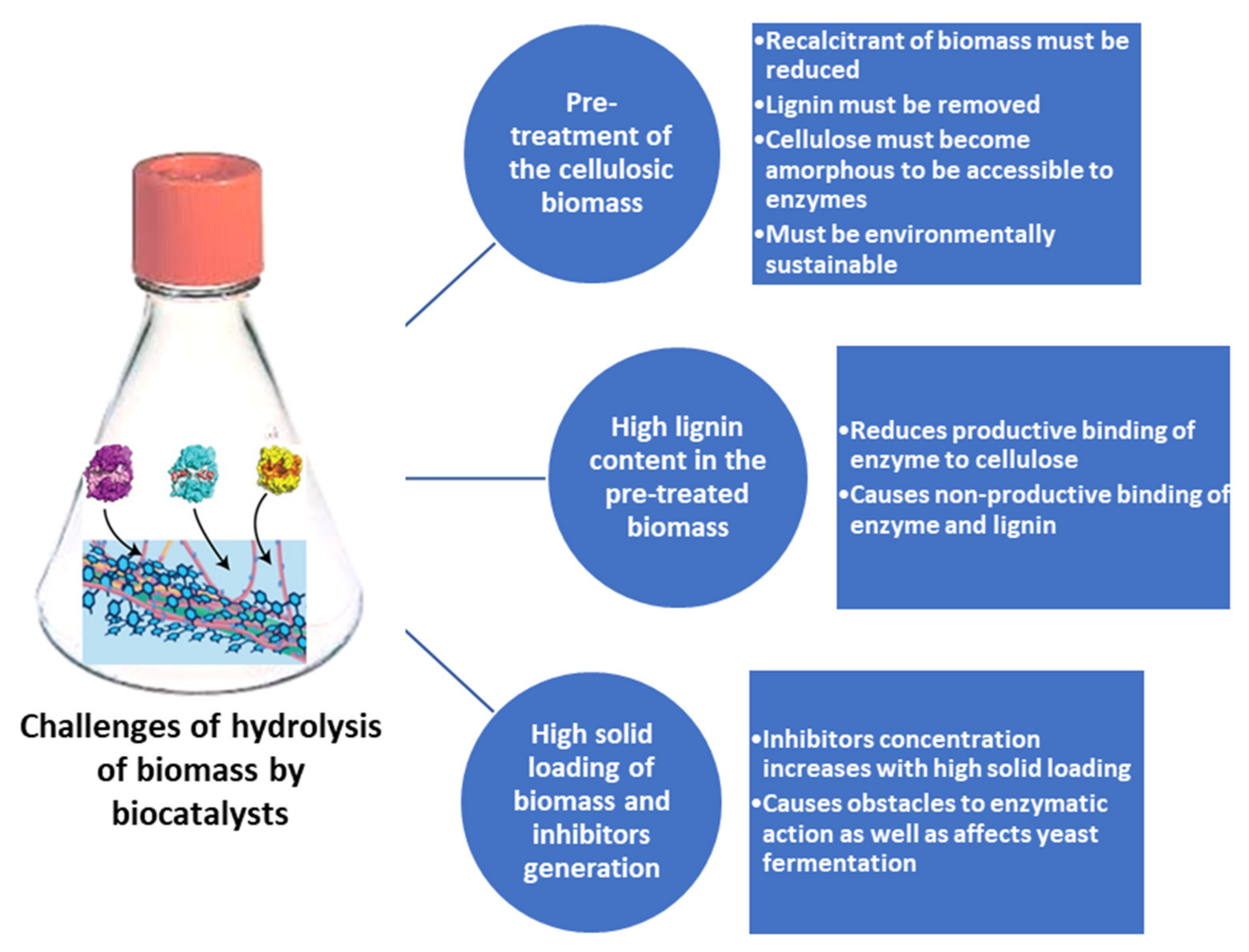 Catalysts 12 00615 g002