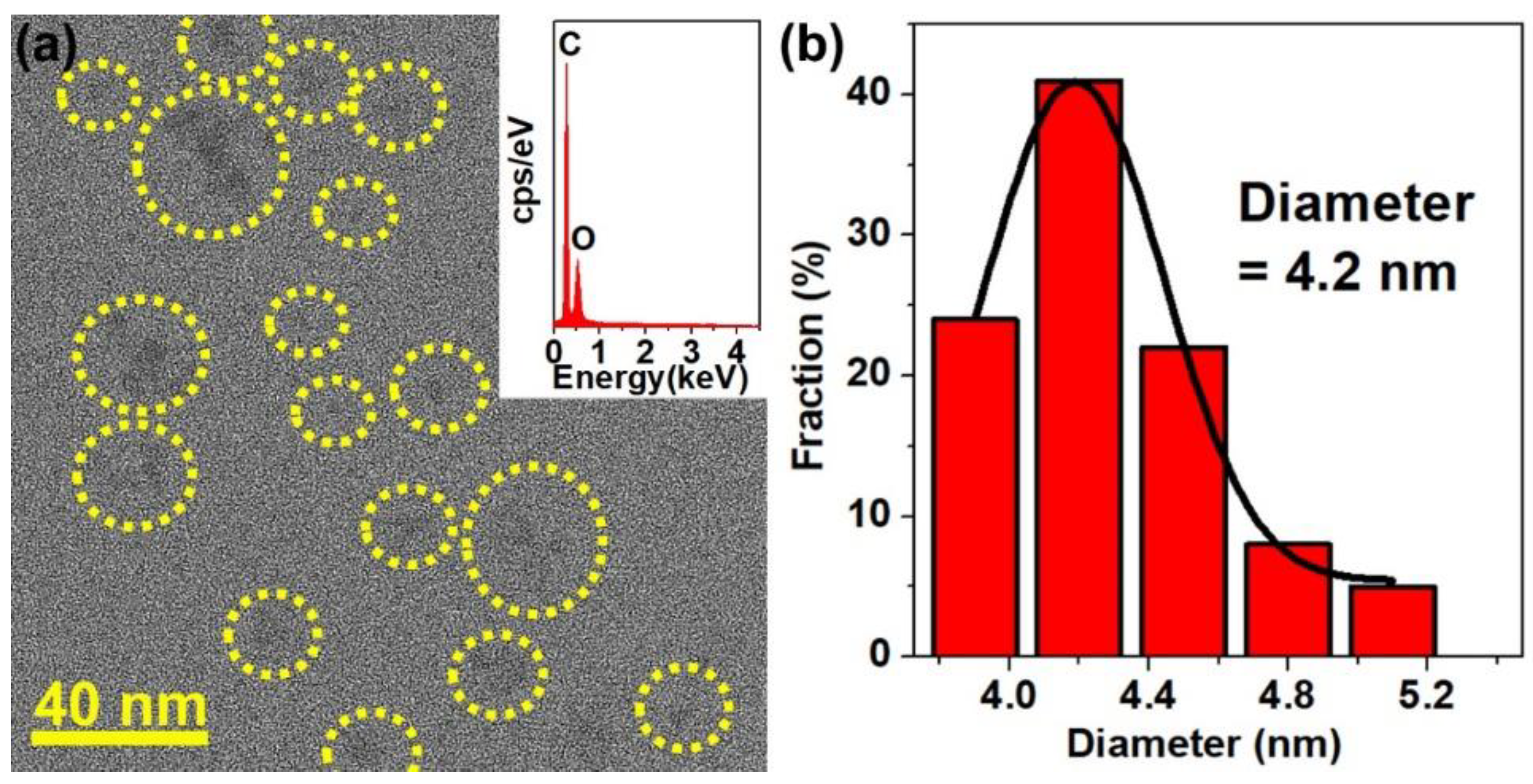 Catalysts 12 00619 g001