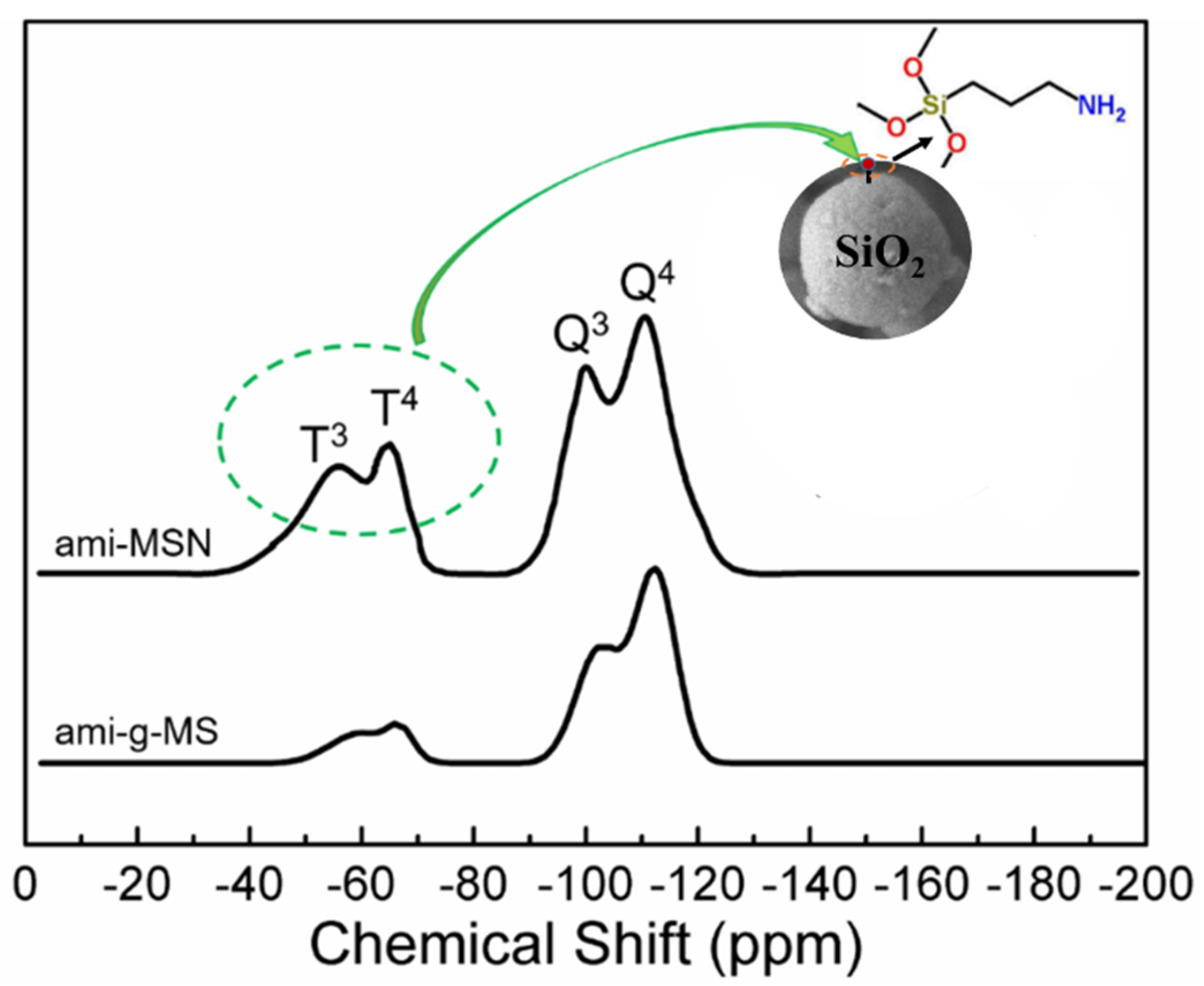 Catalysts 12 00620 g003