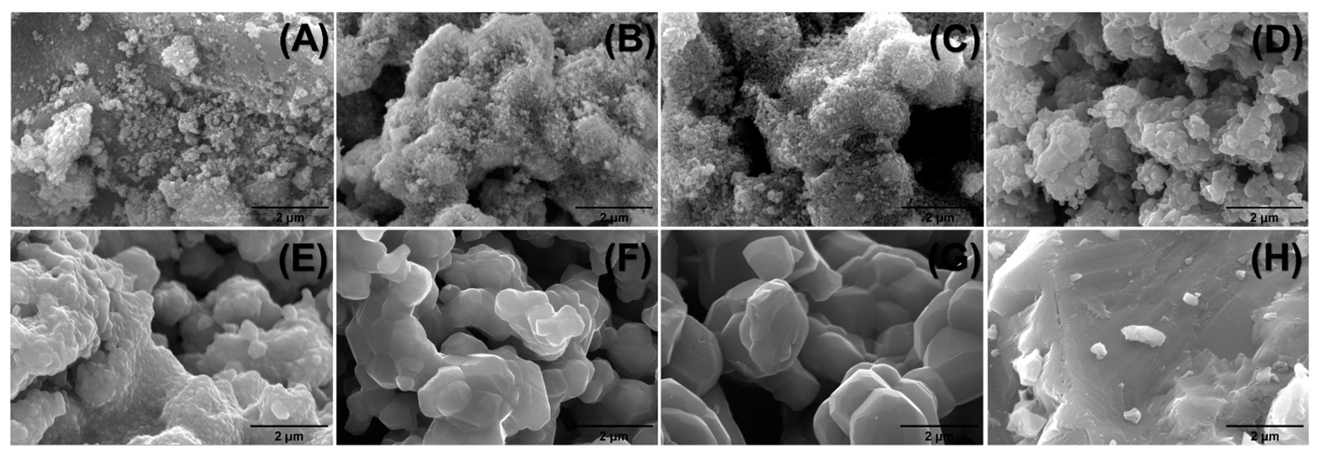 Catalysts 12 00623 g005
