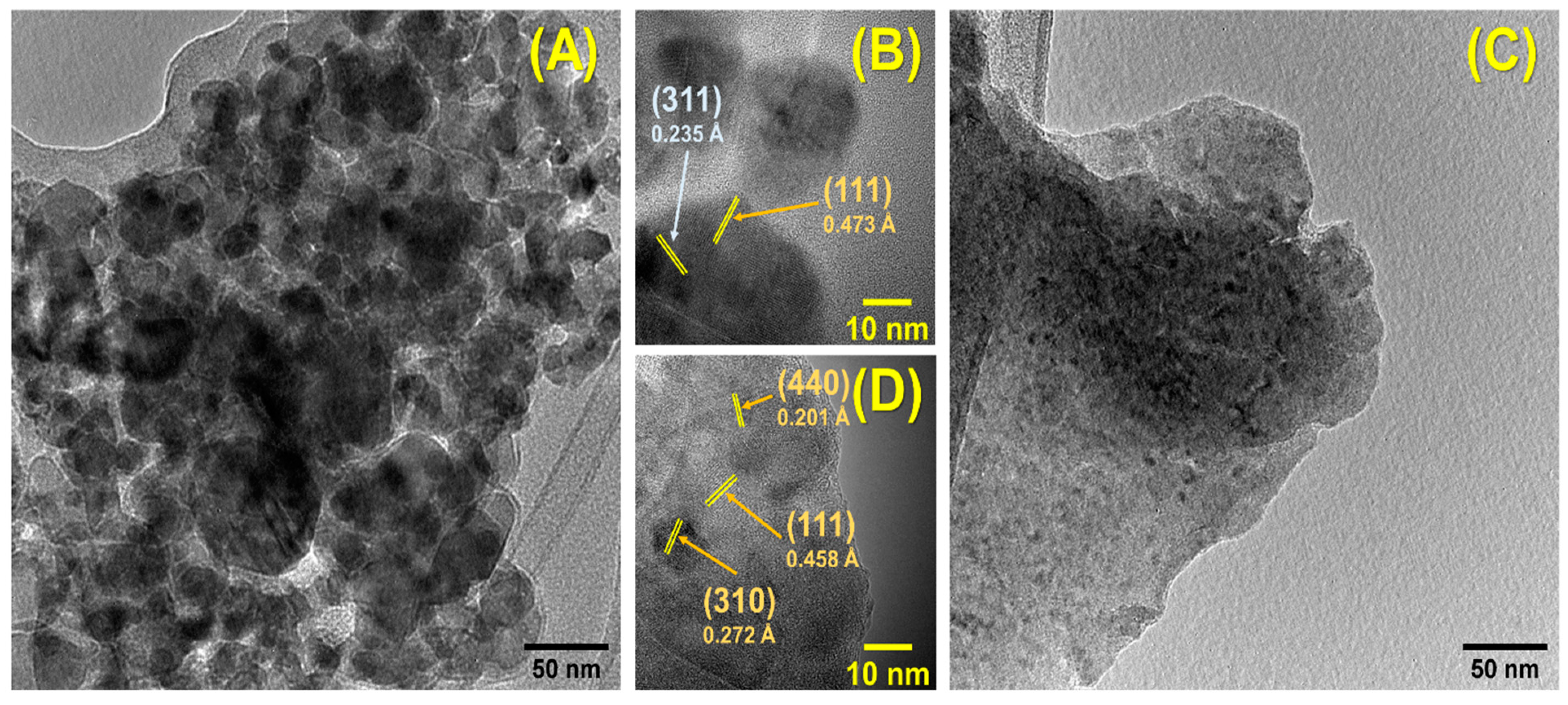 Catalysts 12 00623 g006