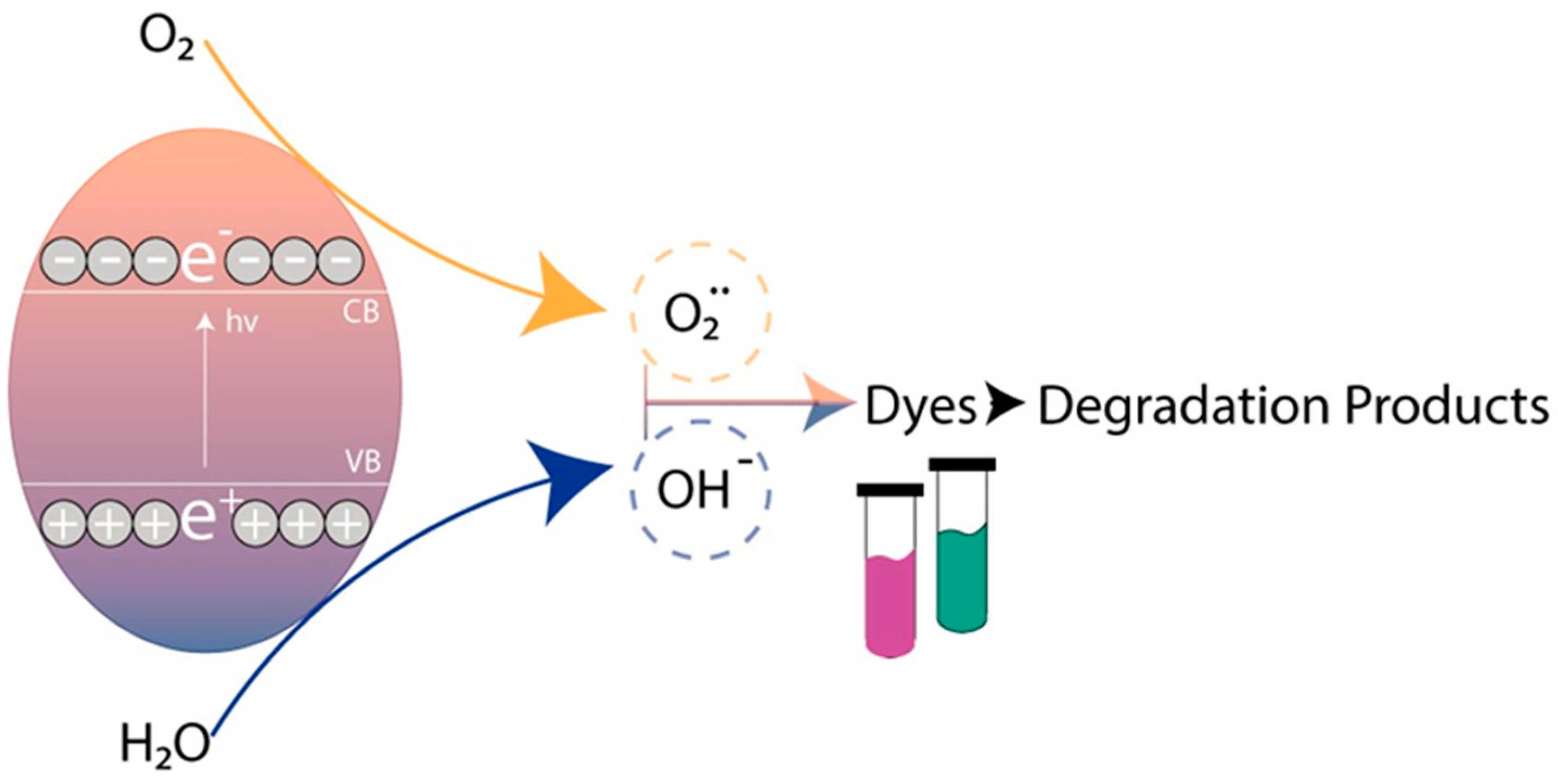 Catalysts 12 00623 g014