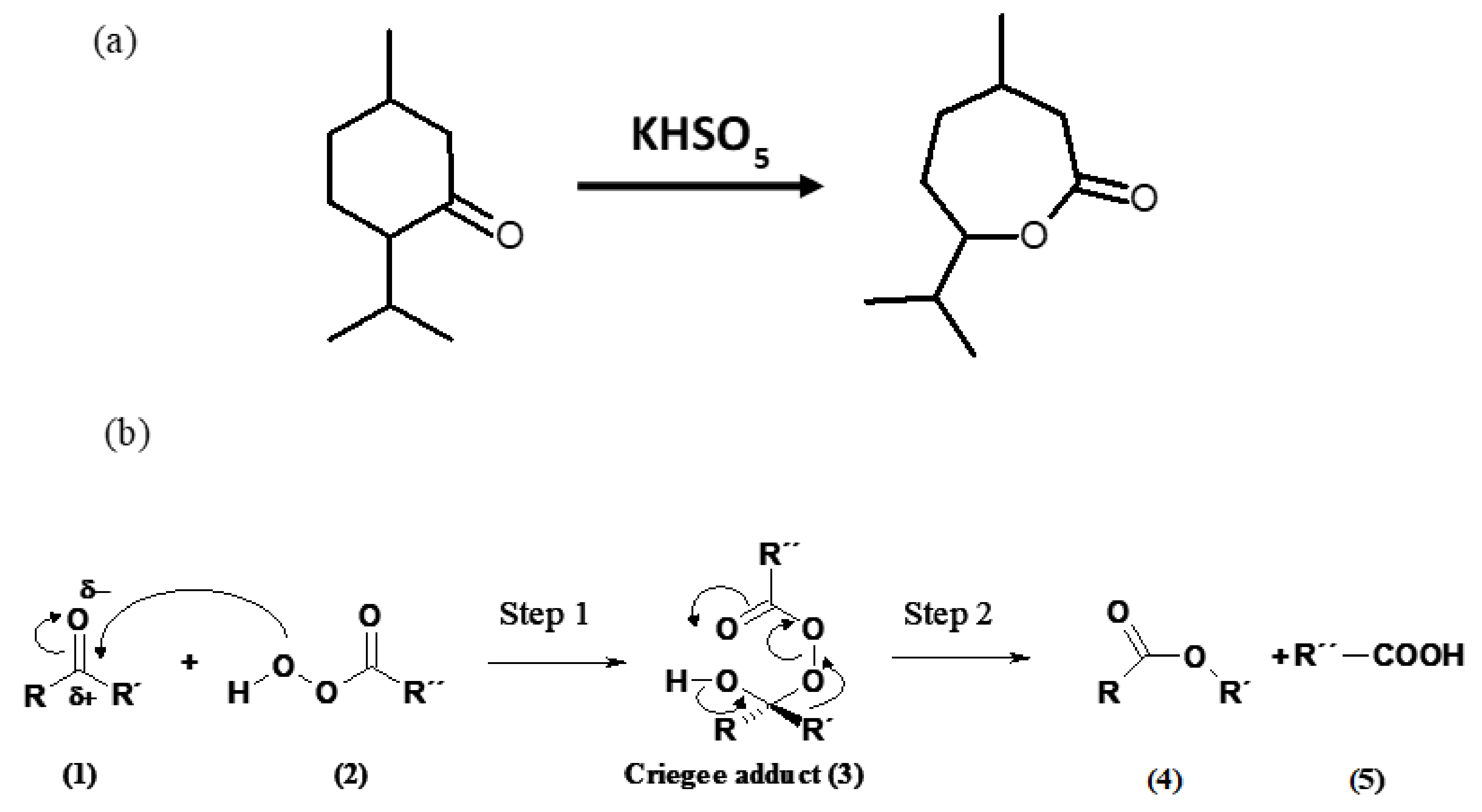Catalysts 12 00629 sch001